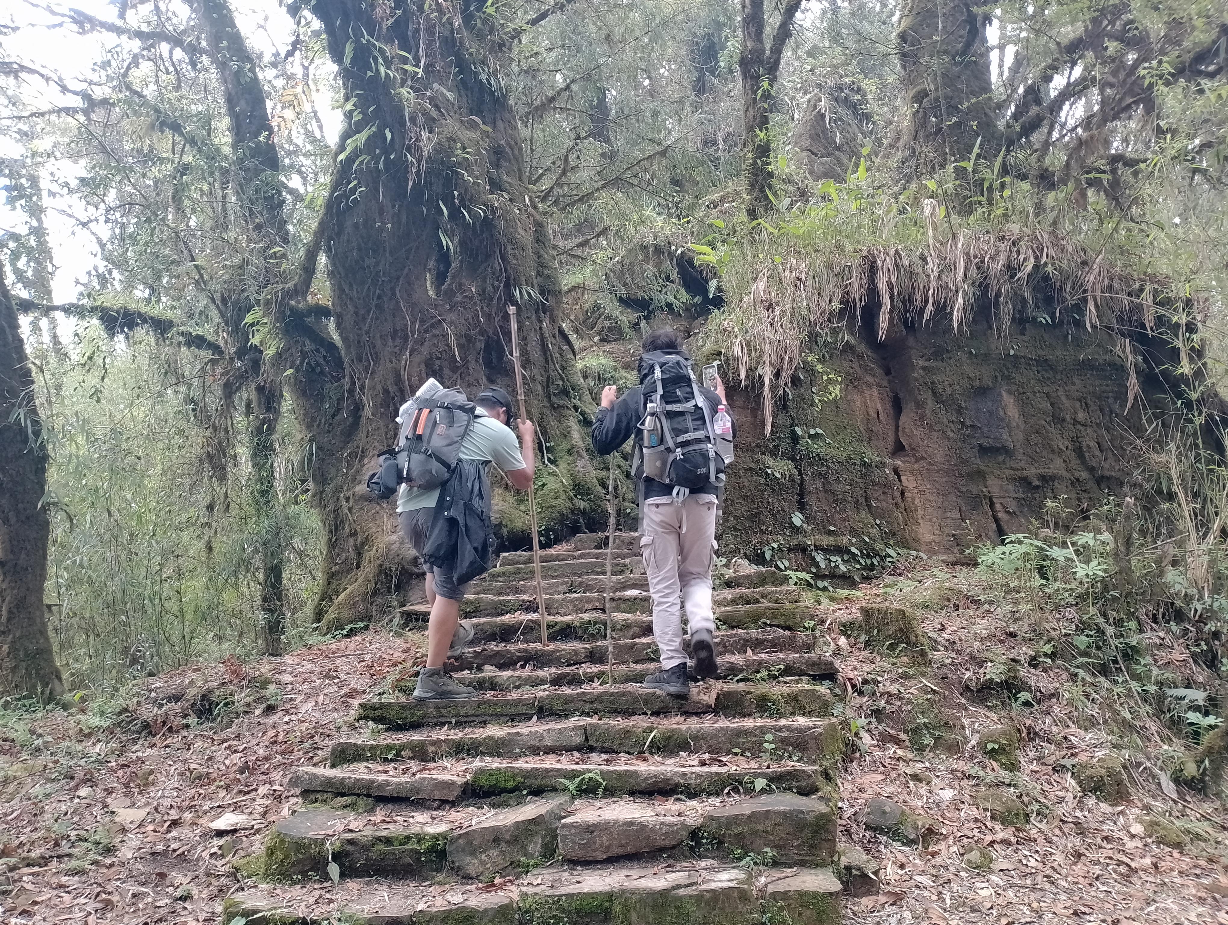 From Pokhara: 4-Day Mardi Himal Base Camp Trek 3