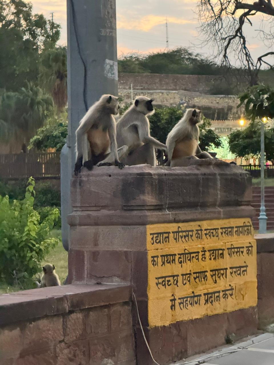 Jaipur: Explore Royal Sites and Historic Science + Pickup 3