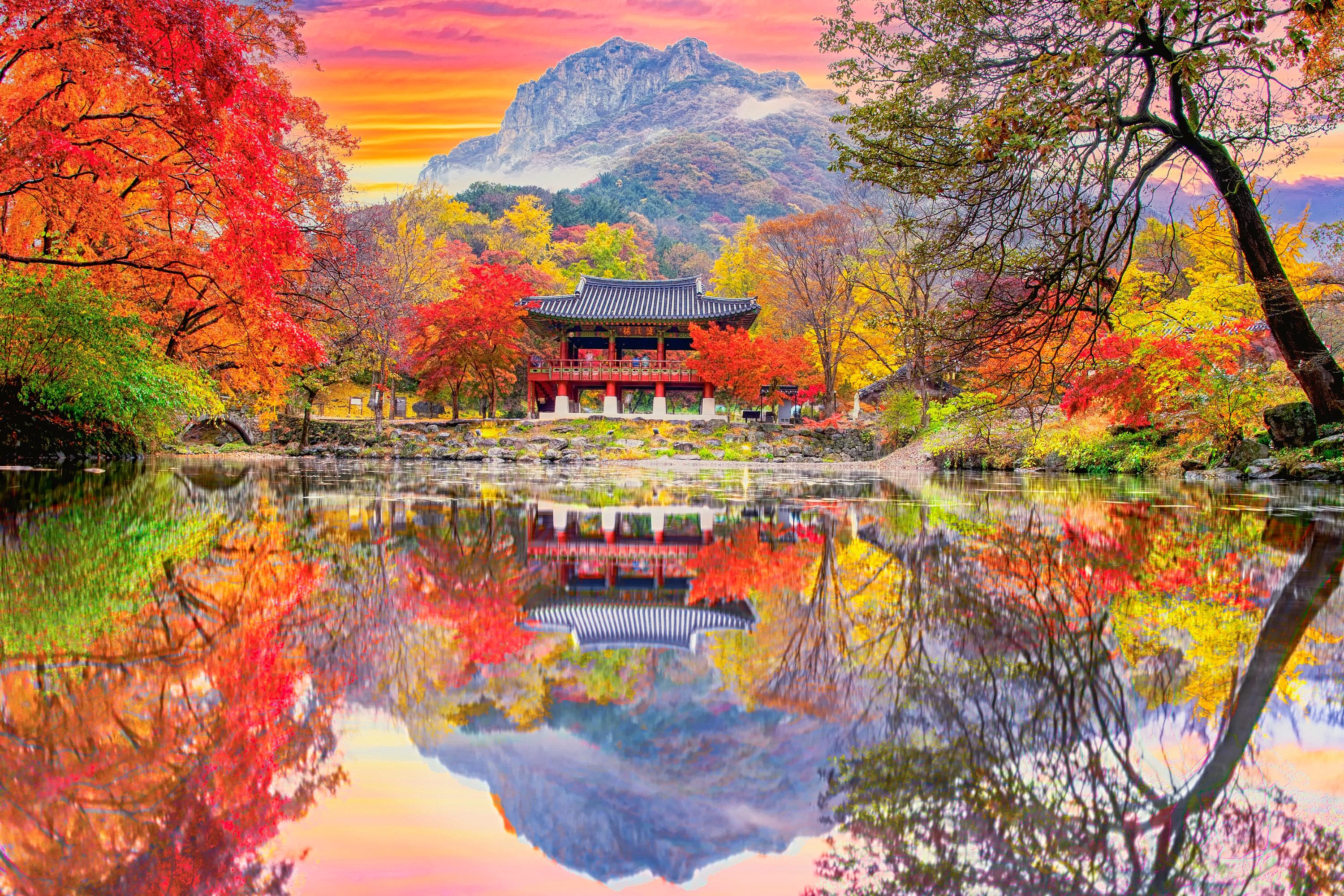 Gangwon Province: 10hr Car Charter Tour with English Driver 2