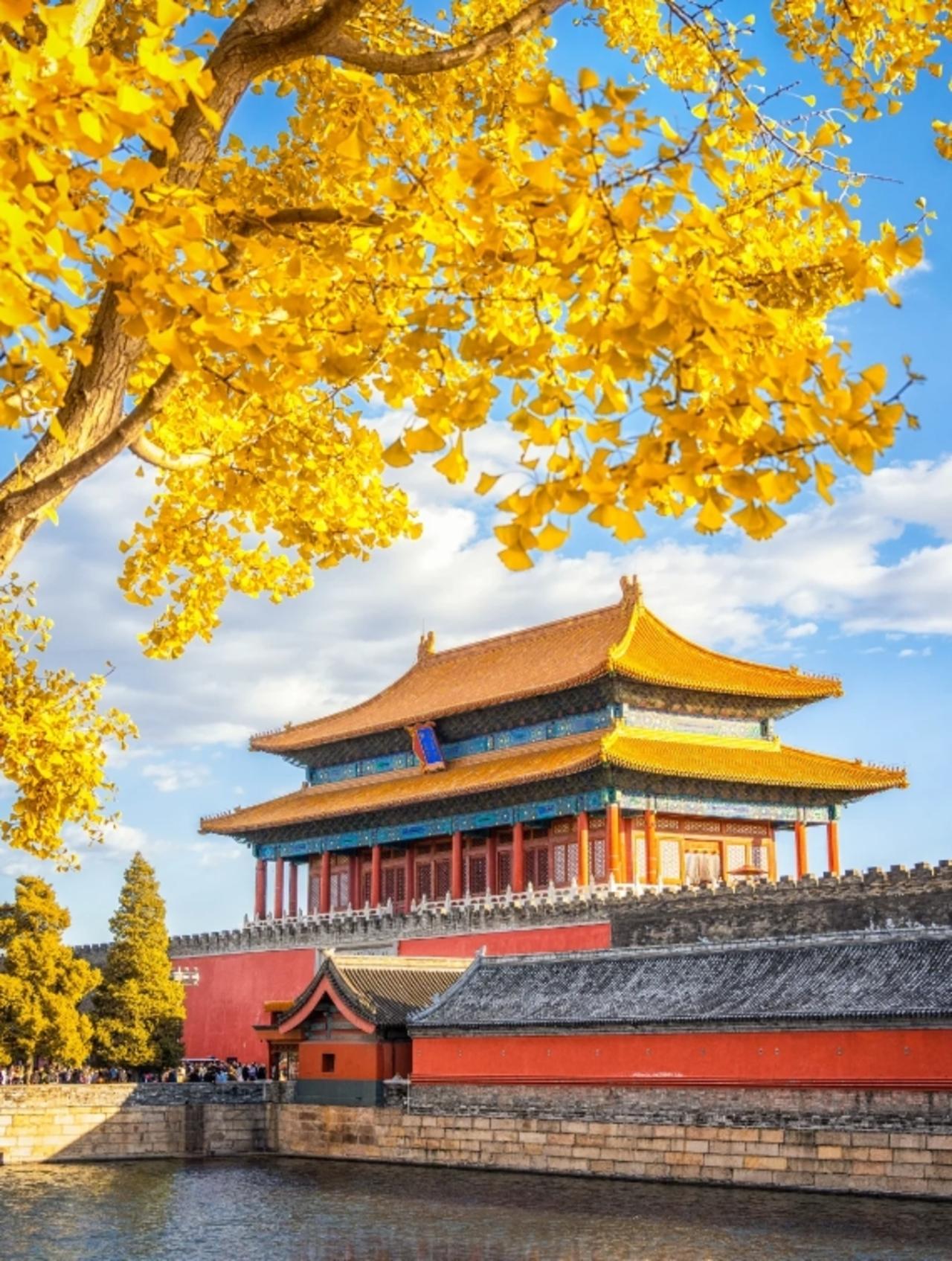 Beijing: Forbidden City Entry Ticket and English Guided Tour 3