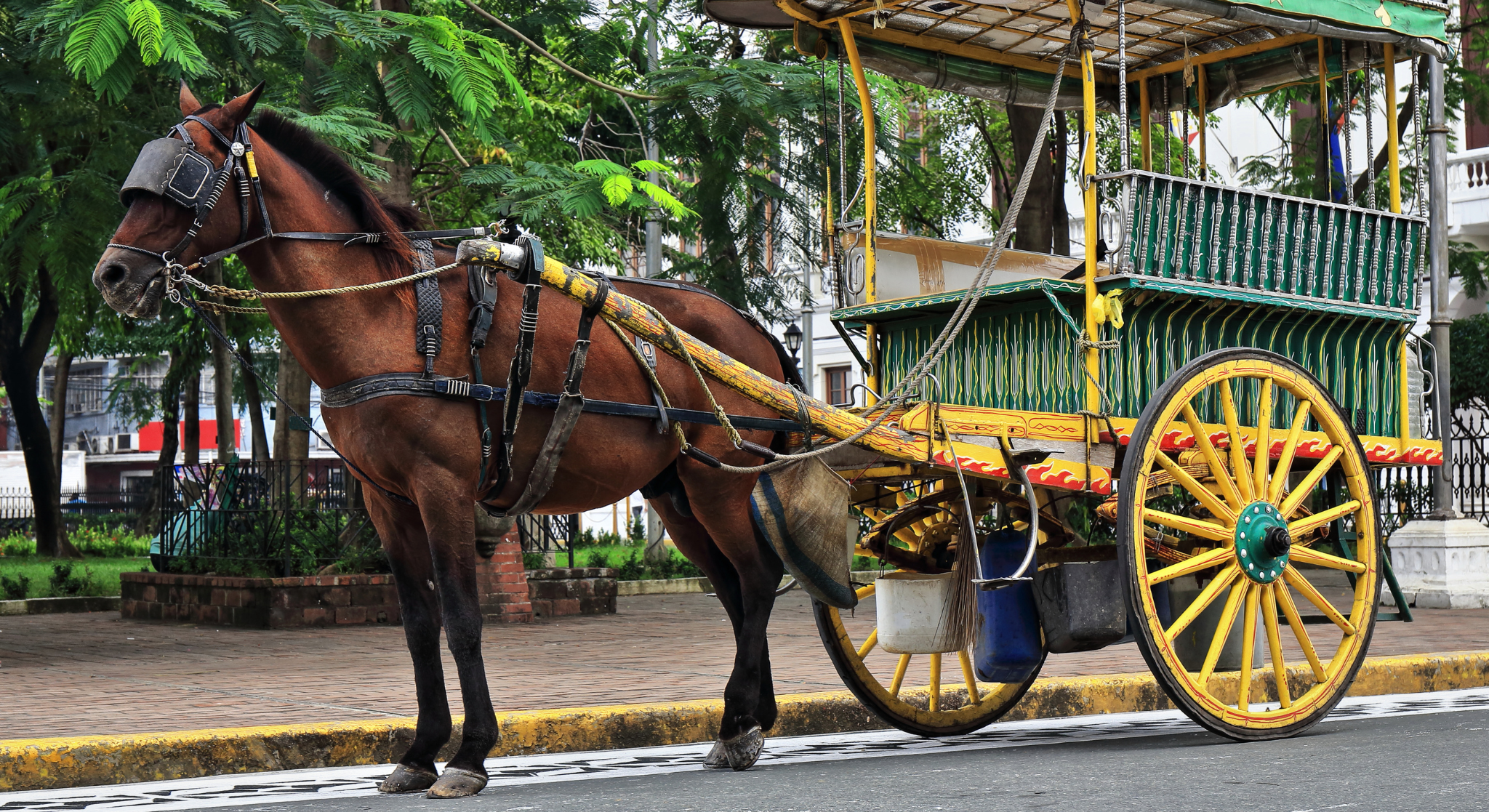 Manila: Intramuros Historical Kalesa Ride Experience 3