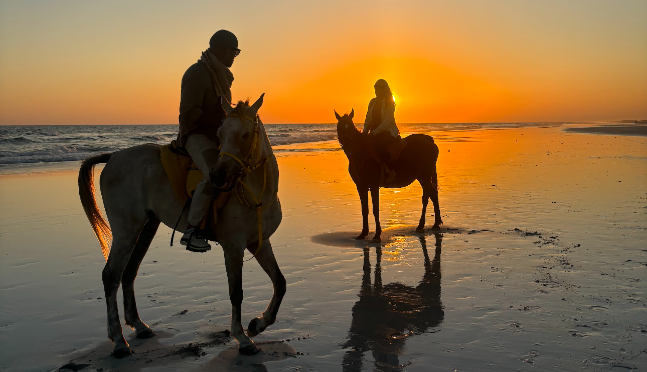 Authentic Arabian Horse Trek: Salalah Coastal Heritage 3