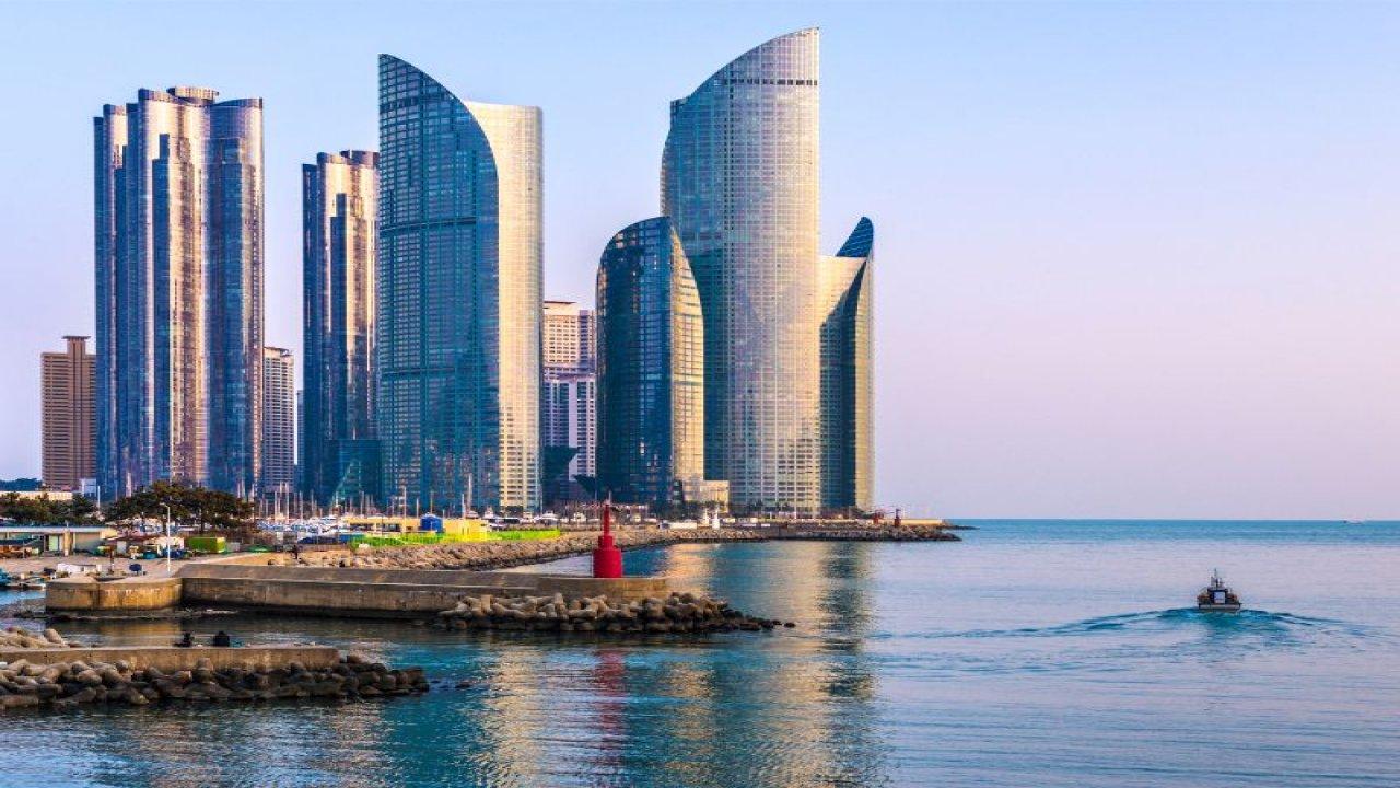 Busan: Jagalchi Market & Gamcheon village Walking Tour