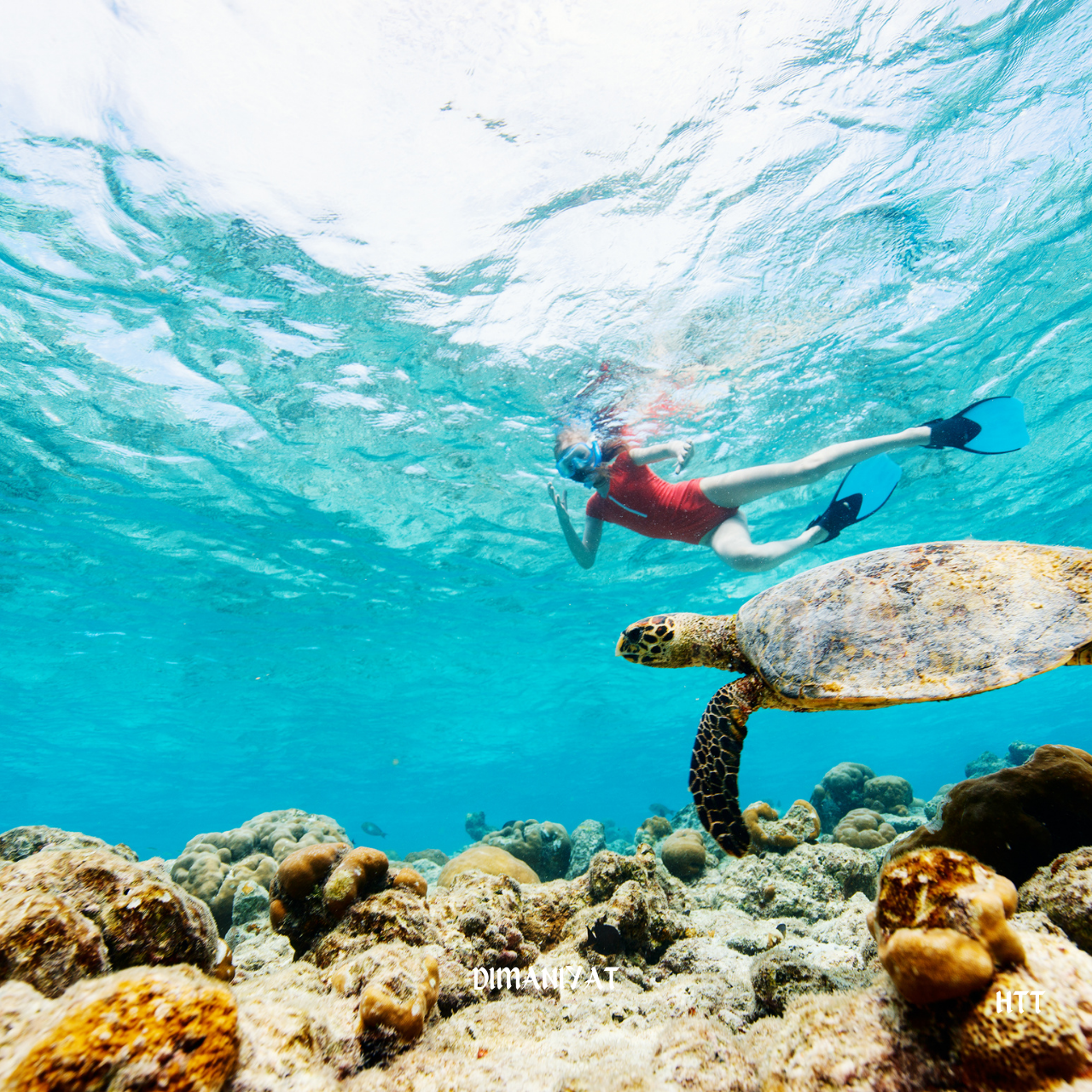 Muscat: Dimaniyat Island Snorkeling Trip with Hotel Transfer