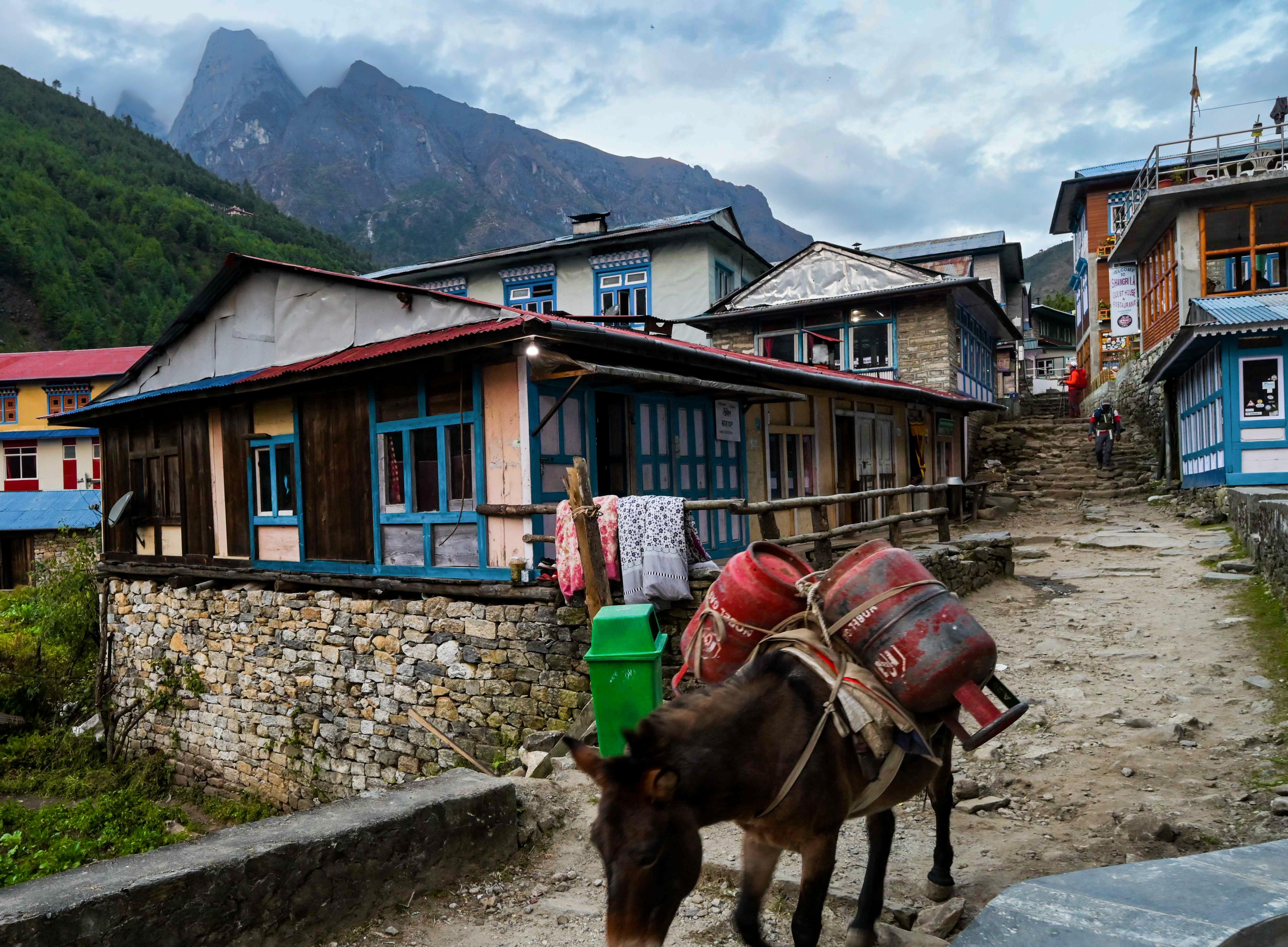 Kathmandu: 15-Day Everest Base Camp Trek with Guide 3