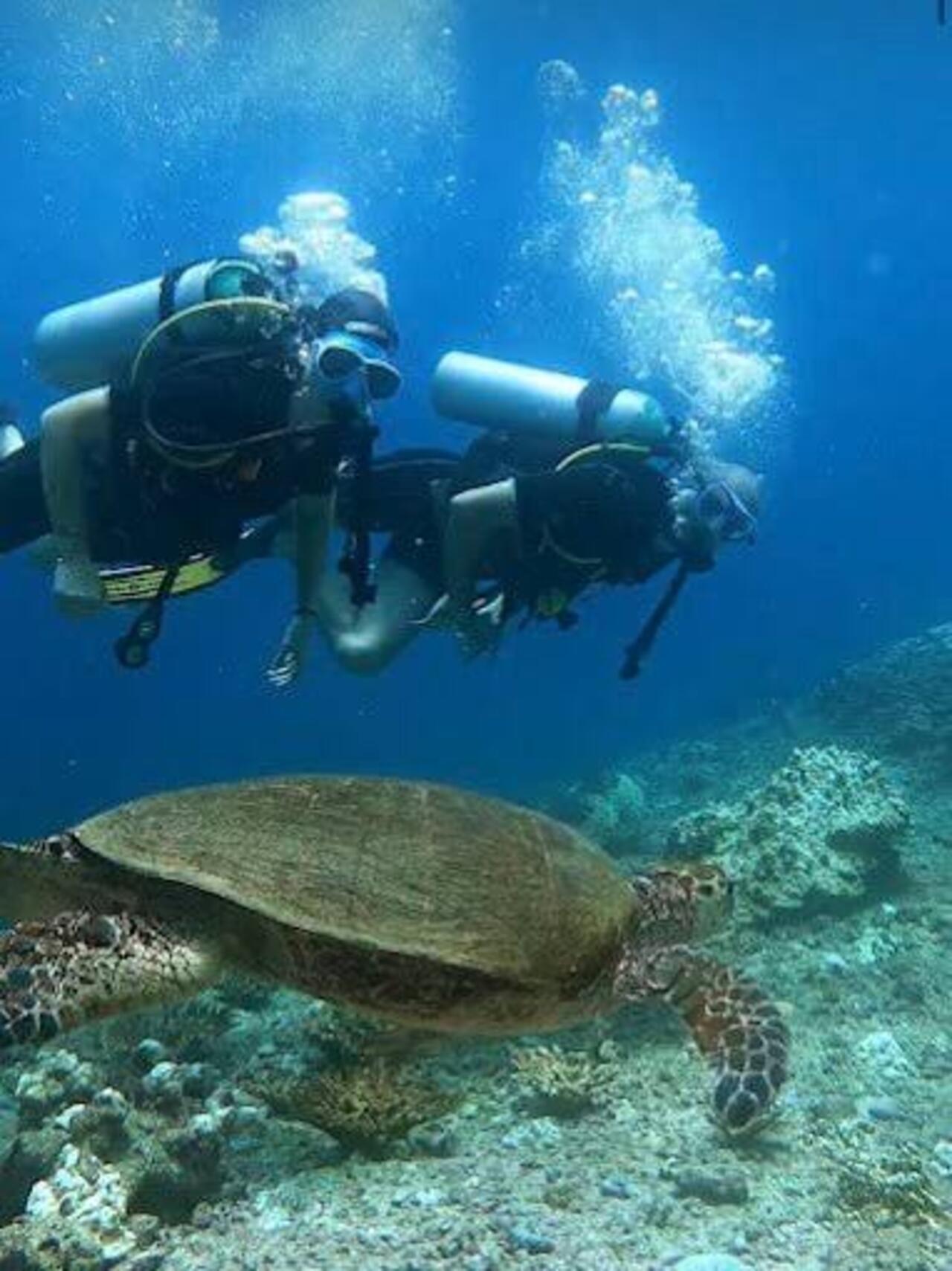 From Muscat: Daymaniyat Islands Coral-Reef Scuba Diving Trip 3