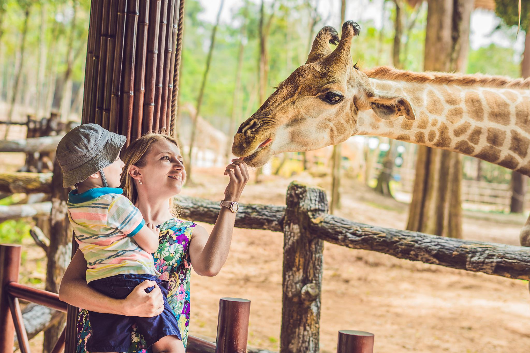 Beijing: Badaling Wildlife Park & Great Wall Tour