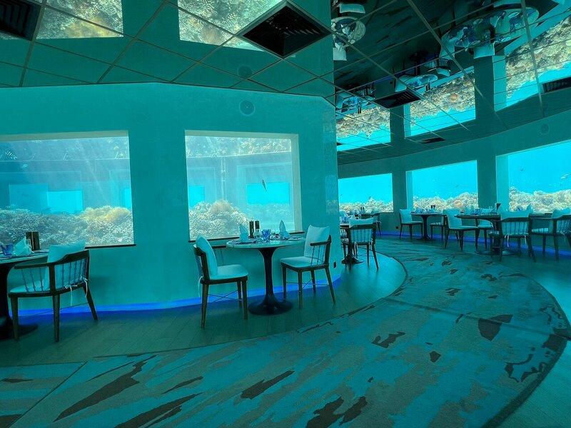 Maldives Underwater Restaurant Dining Experience 3