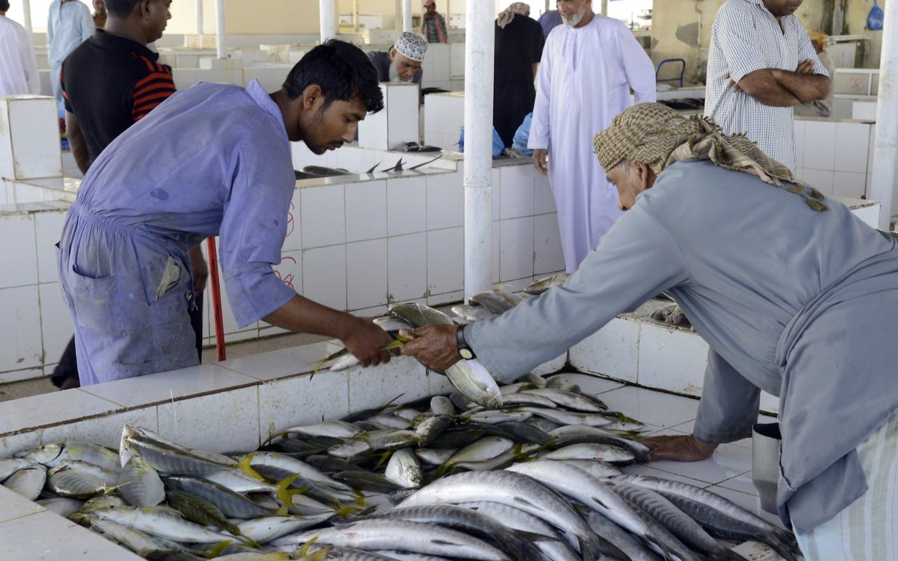 Half-Day Cultural Tour: Barka Markets & Al Naman Castle