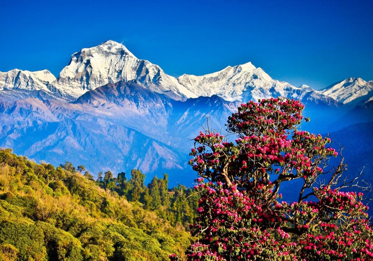 From Pokhara: 2-Day Ghorepani-Poon Hill Sunrise Trek, Nepal
