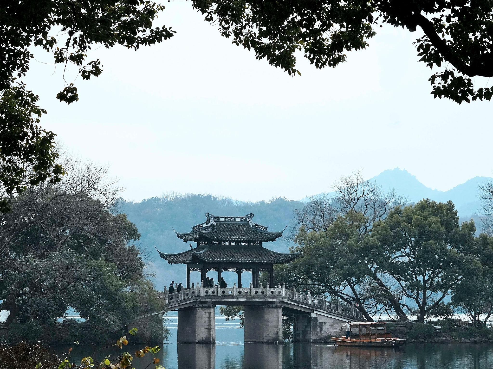 Hangzhou: Private West Lake & Tea Day Trip from Shanghai