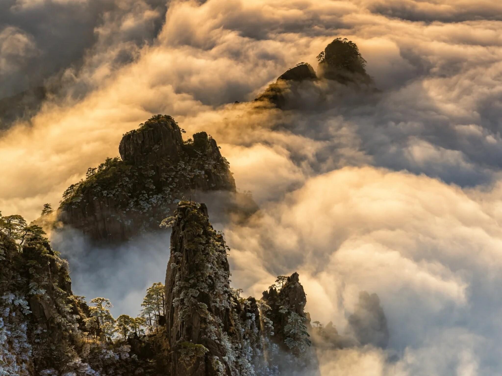 From Shanghai: 4-Day Hangzhou & Huangshan Private Tour