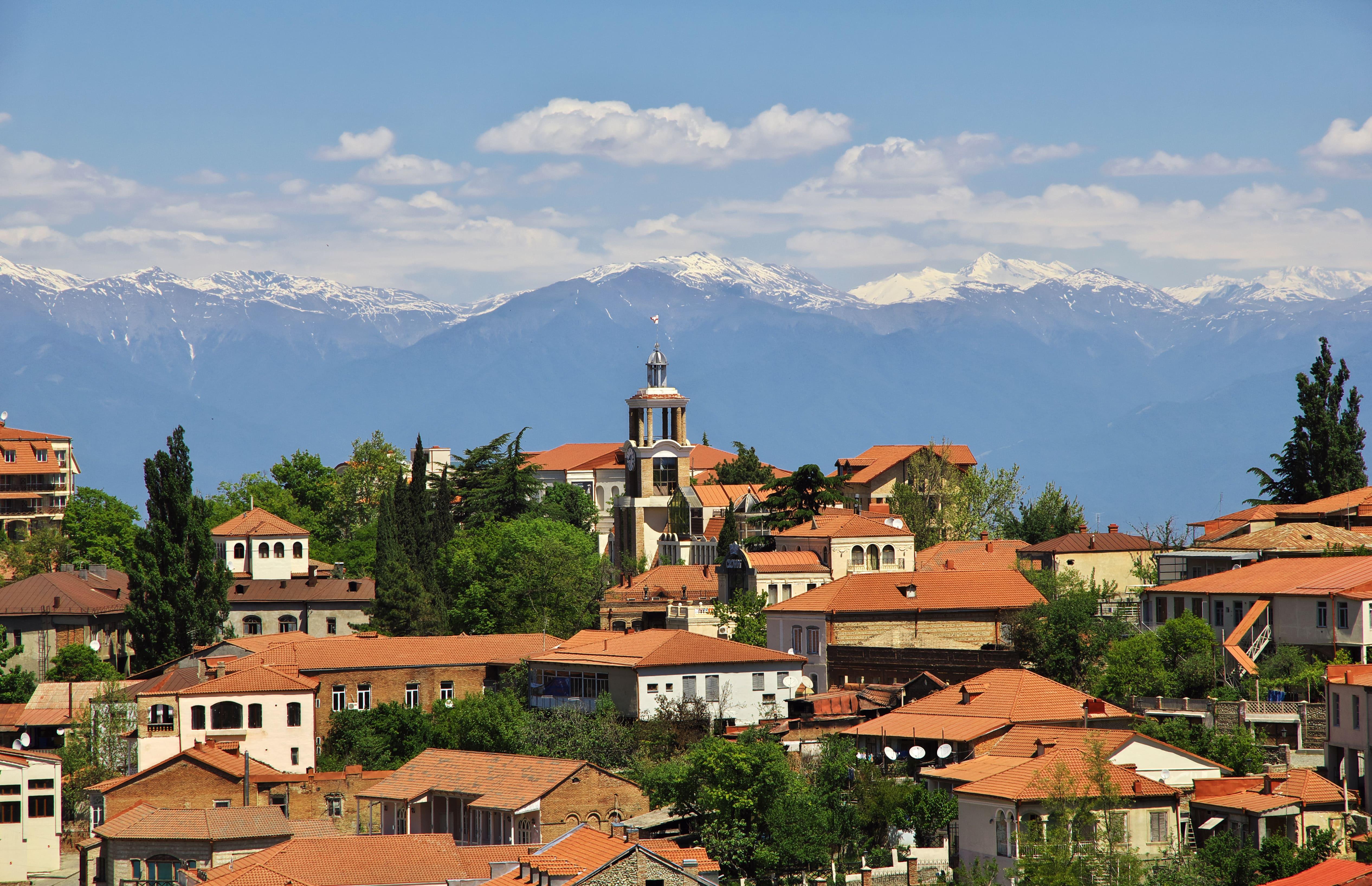 Tbilisi: Kakheti Wine Tasting & Sighnaghi Private Tour