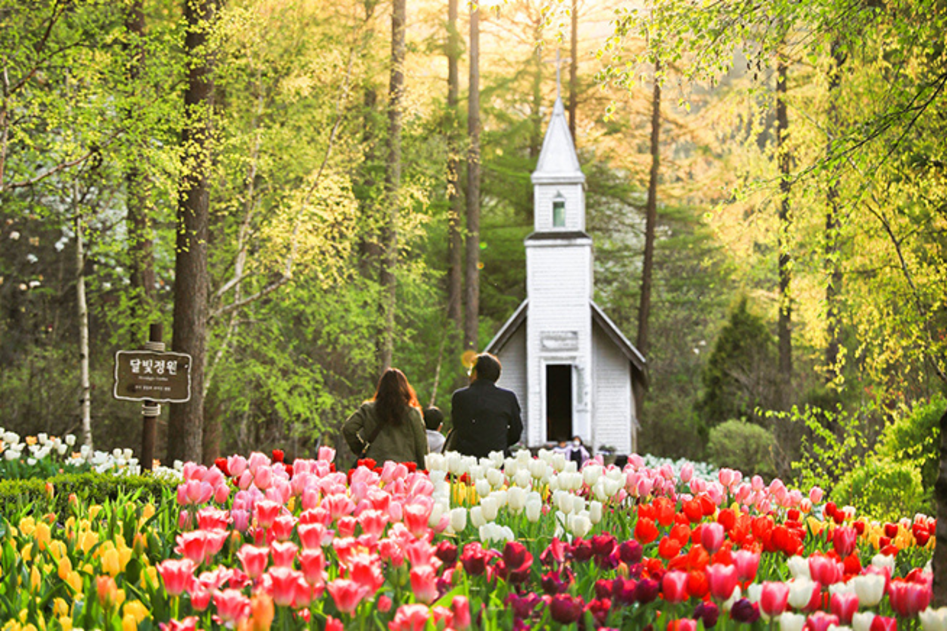 Nami, Petite France and Morning Calm Garden tour from Seoul 3