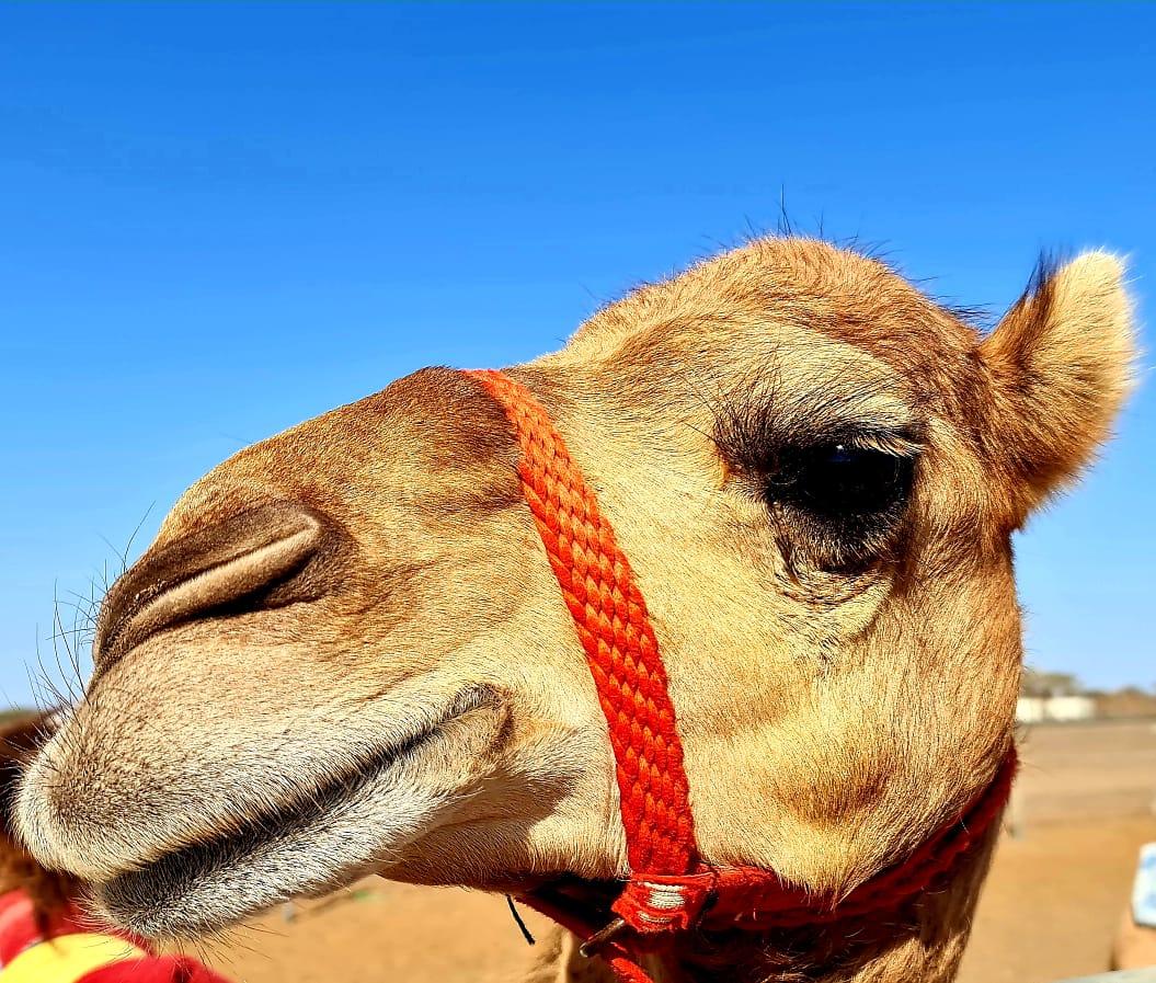 2 Days Oman Adventure Wadi Shab & Wahiba Sand Desert 3