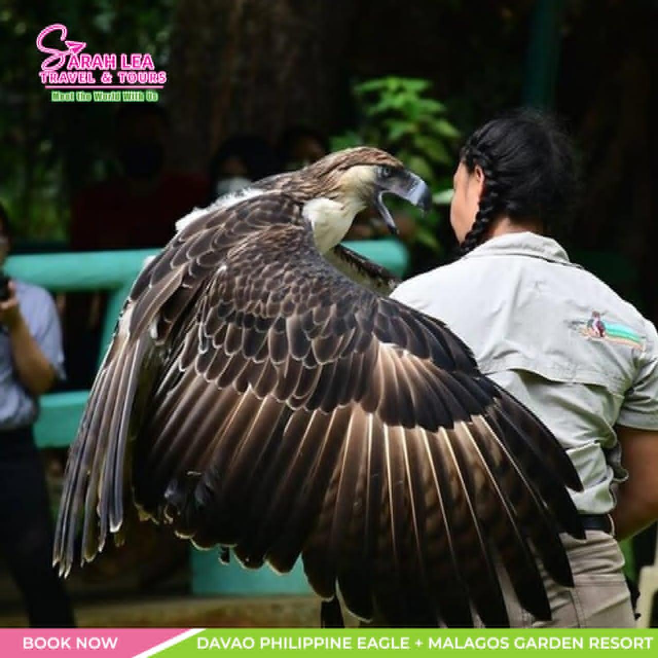 Davao: 8-Hour Philippine Eagle & Malagos Garden Resort Tour 3