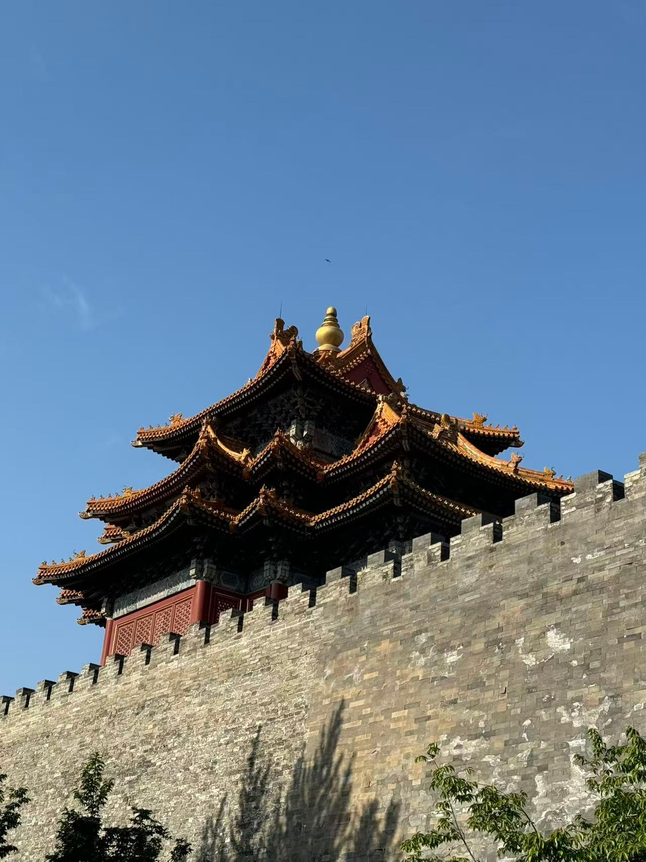 Beijing: Forbidden City & Treasure House Guided Tour 2