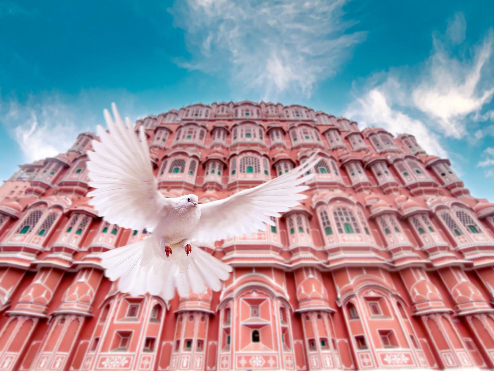 From Jaipur: Private Amber Fort, Jal Mahal and More Car Tour