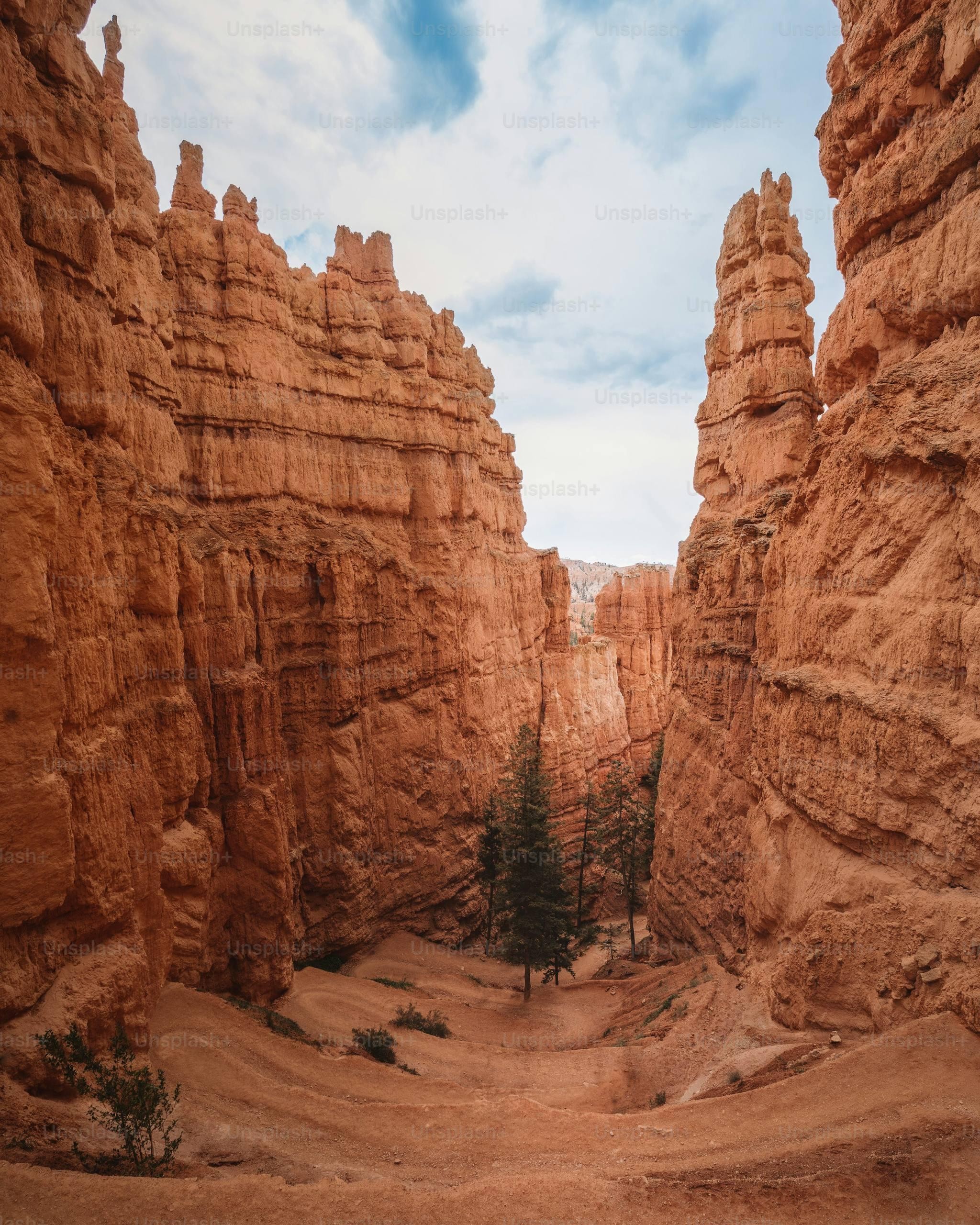 From Almaty: Charyn Canyon & Black Canyon Small-Group Tour 3