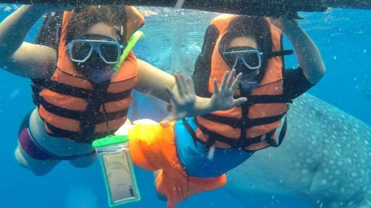 Dumaguete: Oslob Whale Watching Tour with the ruins sidetrip