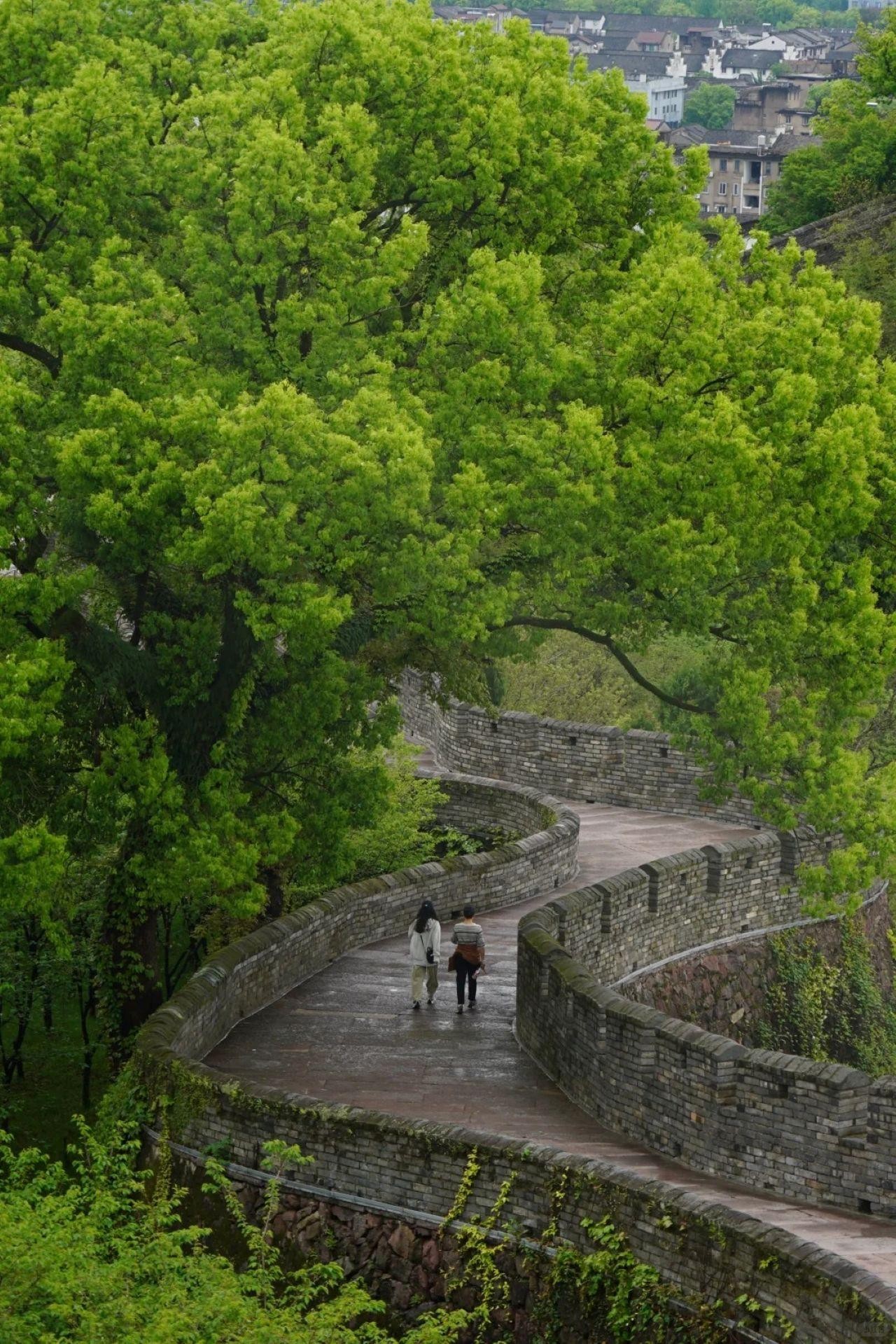 Shanghai to Southern Great Wall High-Speed Rail PrivateTour 2