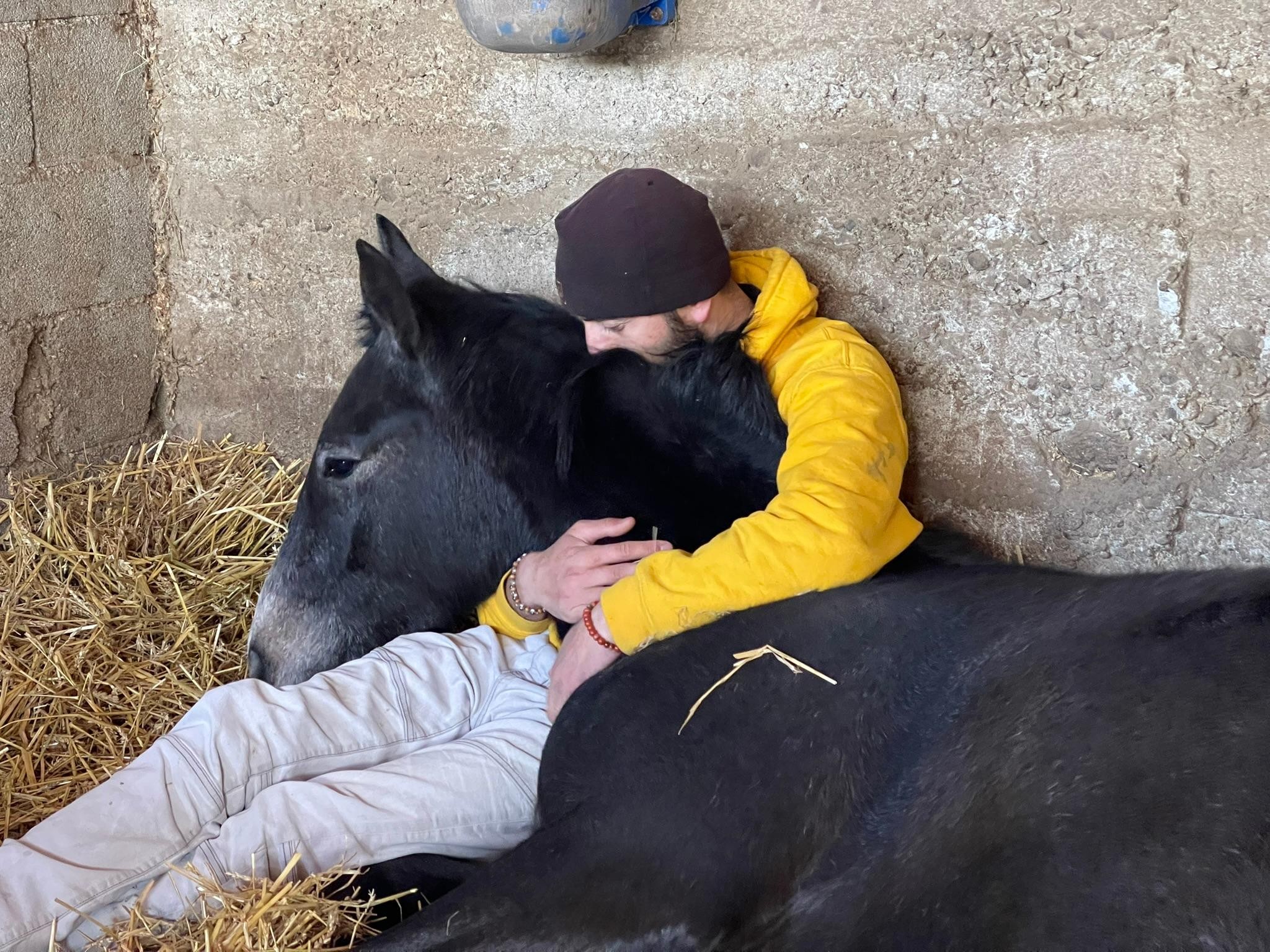 Tbilisi: Sabaduri Forest Horse Riding Tour with BBQ 3