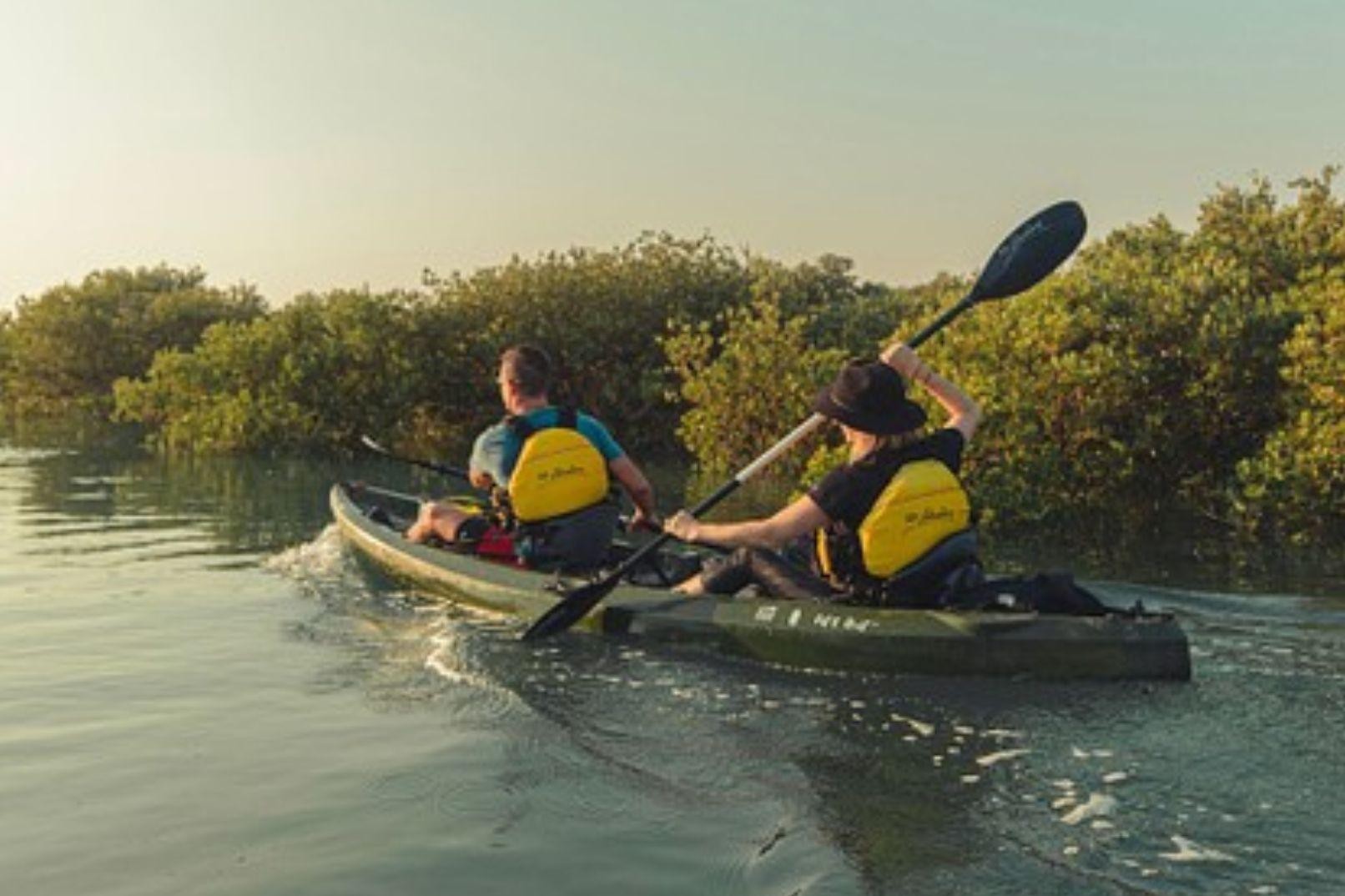 Al Thakira: Mangrove Forest Guided Kayaking Tour 3