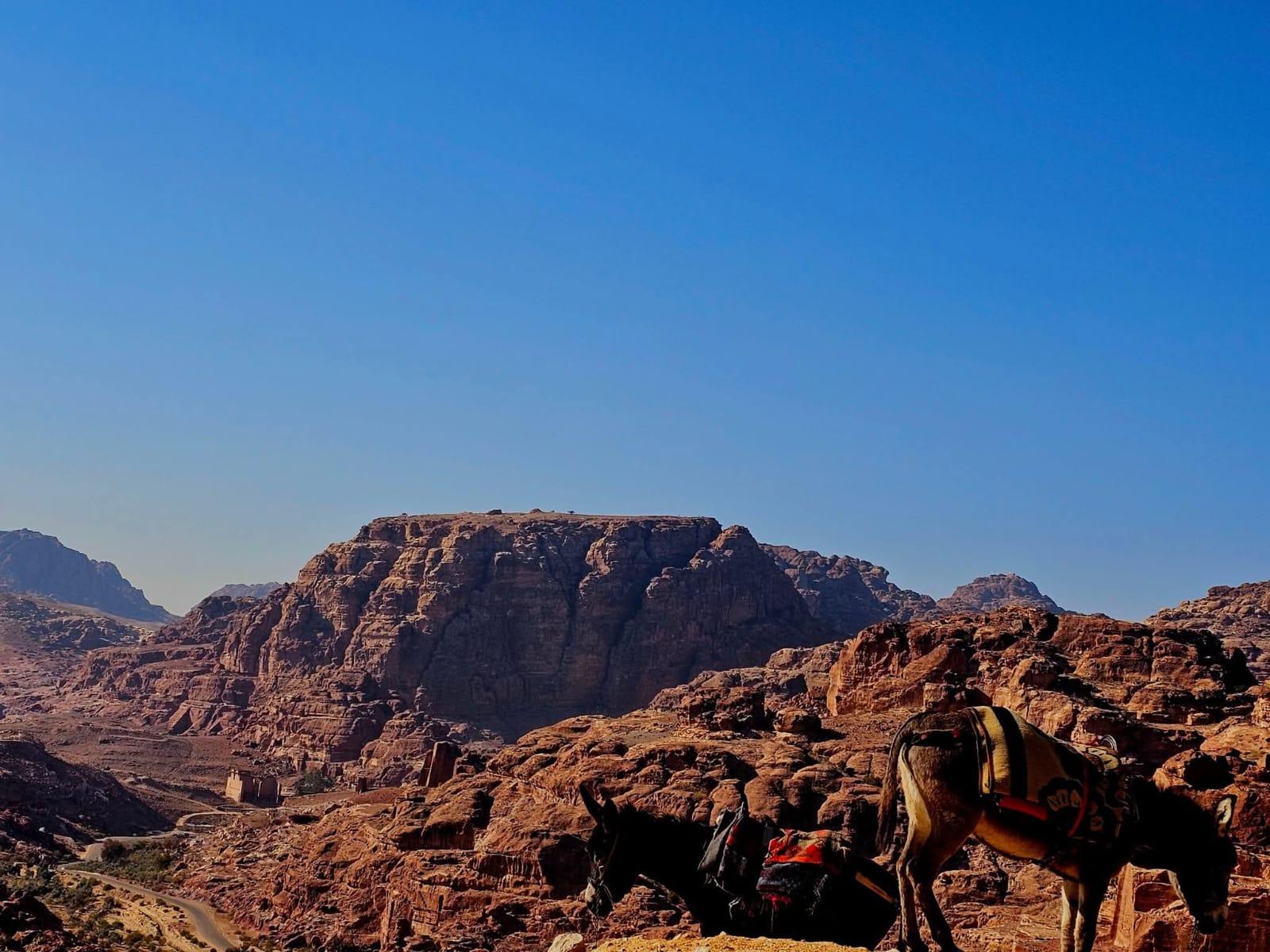Amman: Petra Day Trip with Scenic Photo Stop