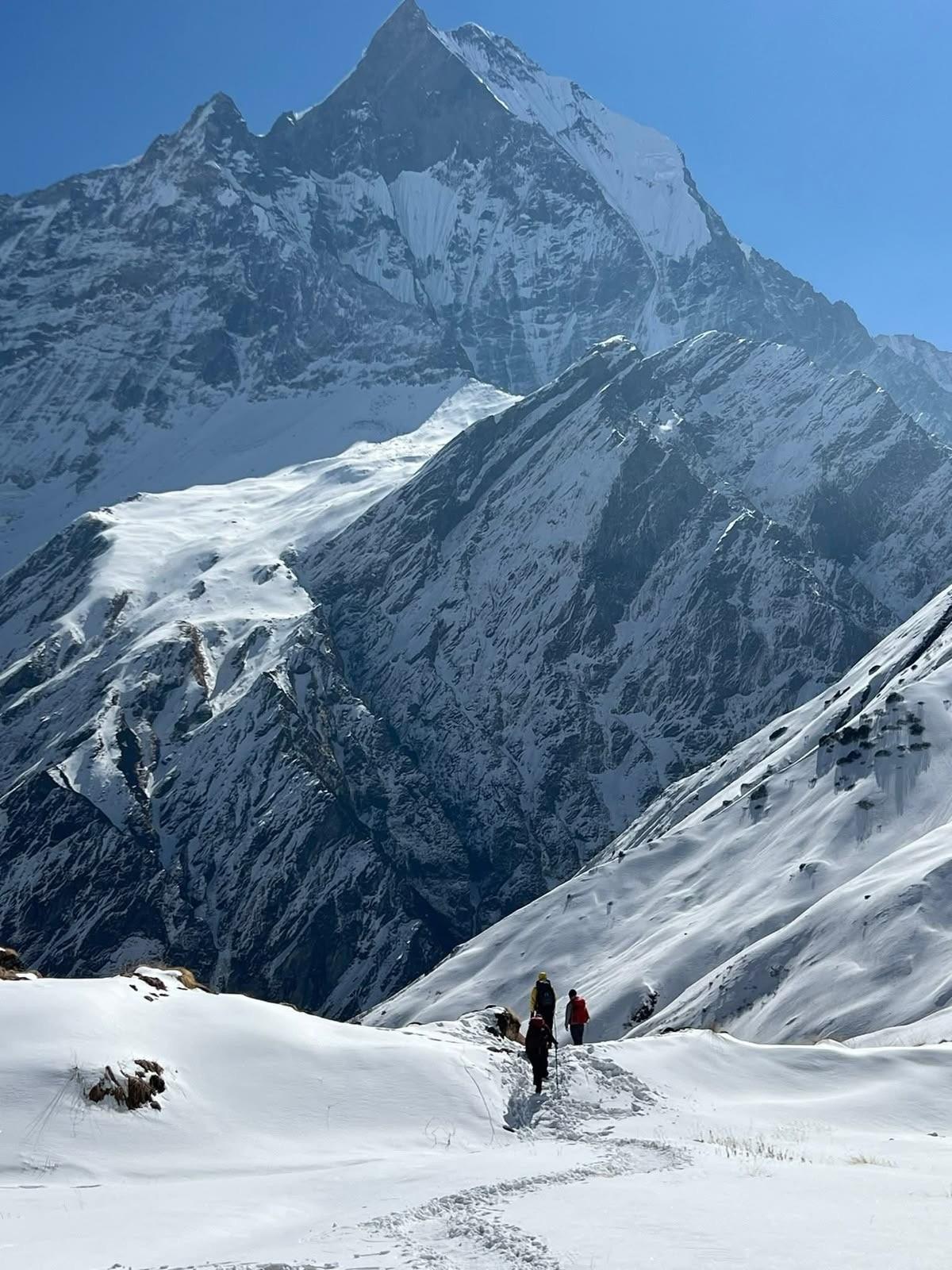 Annapurna Base Camp: 7-Day Private Guided Trek with Meals 3