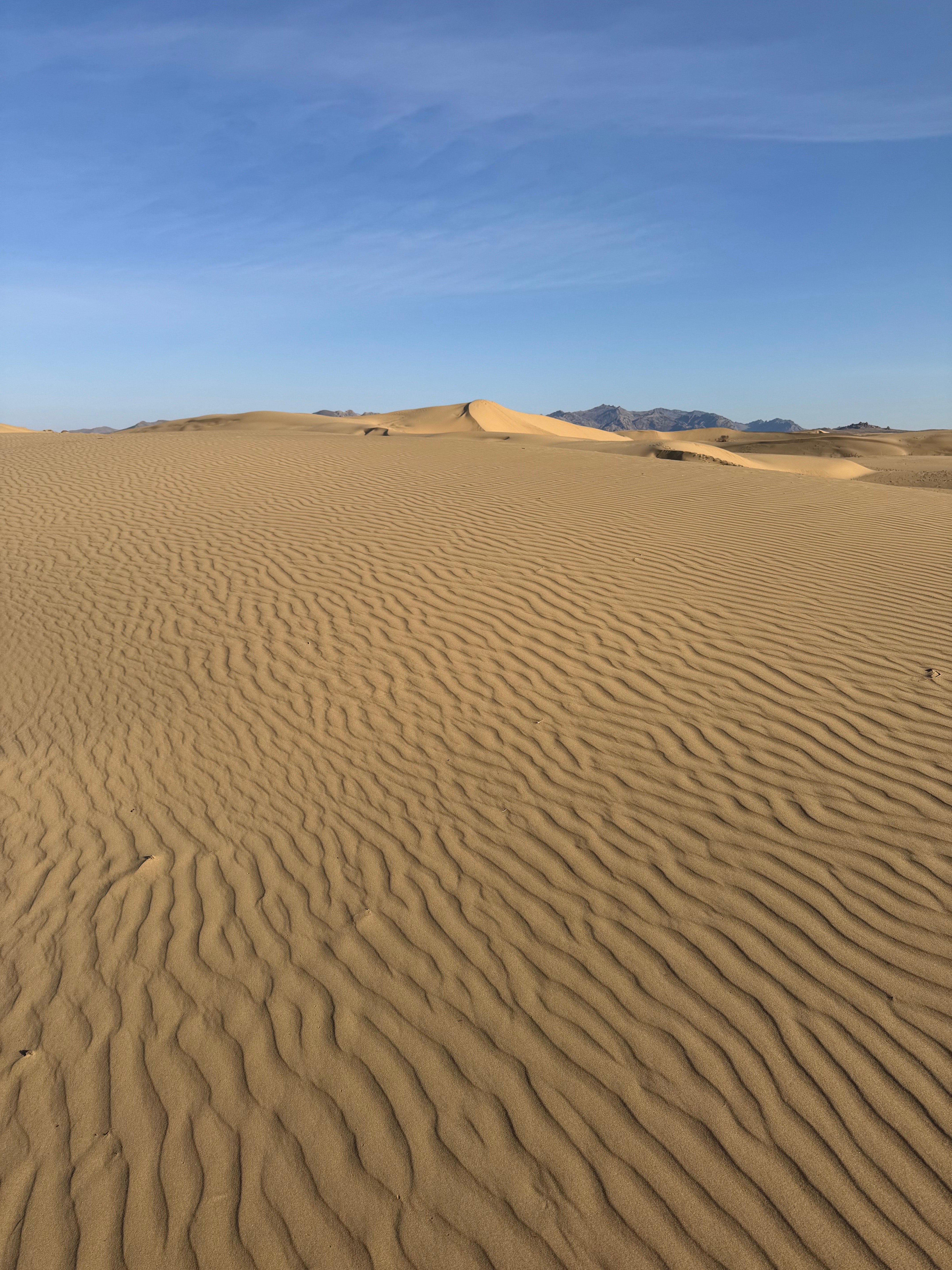 2-Day Elsen Tasarhai/Sand Dune hills & Nomadic Experience