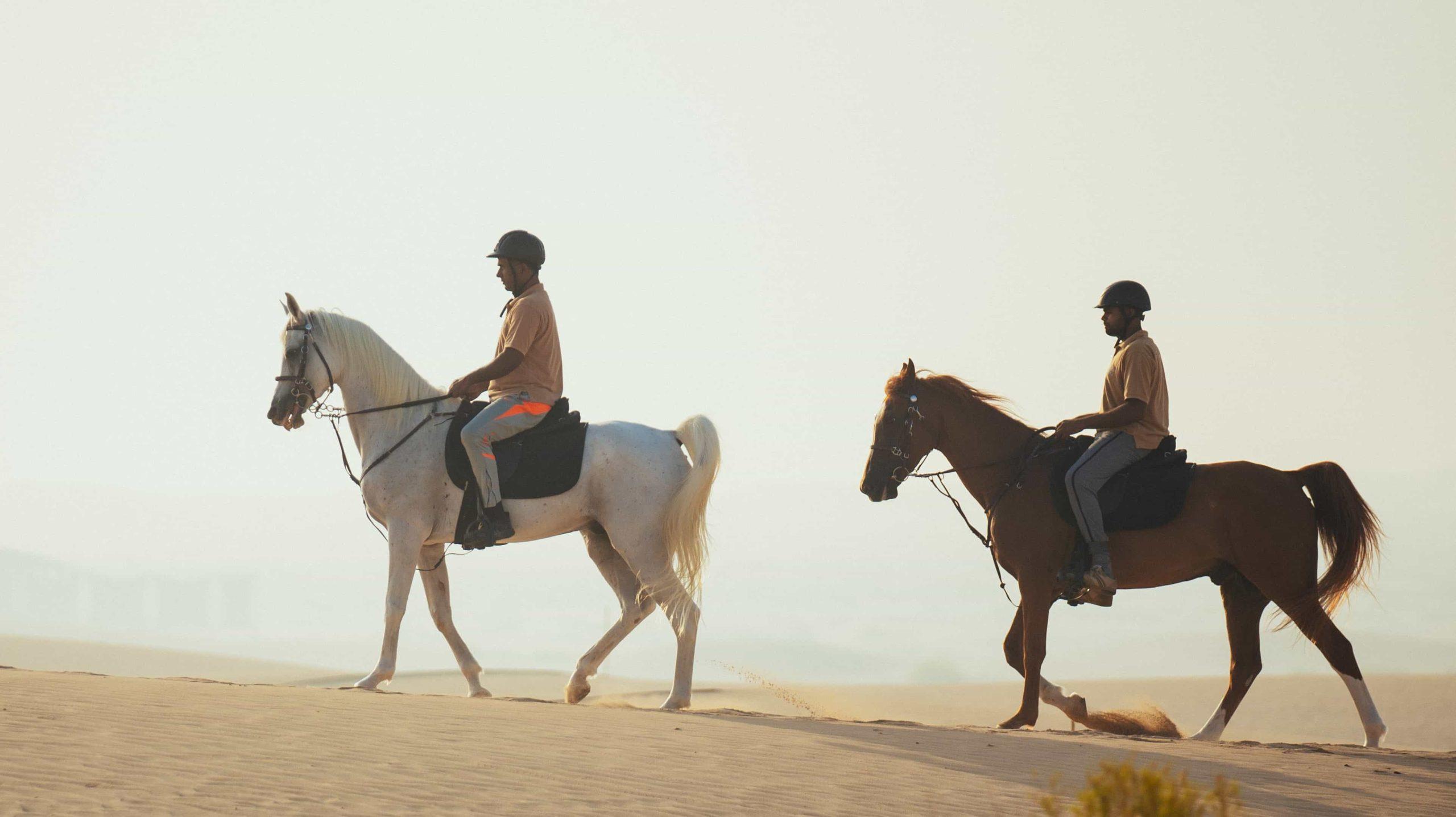 Ride the Spirit of Arabia: A Desert Horse‑Riding Experience 3