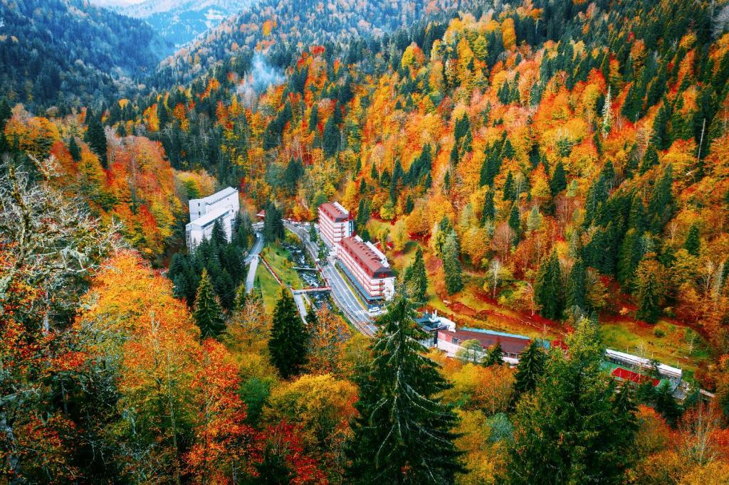 Kutaisi: Sairme Spa Resort & Zipline Aventure Tour ✅