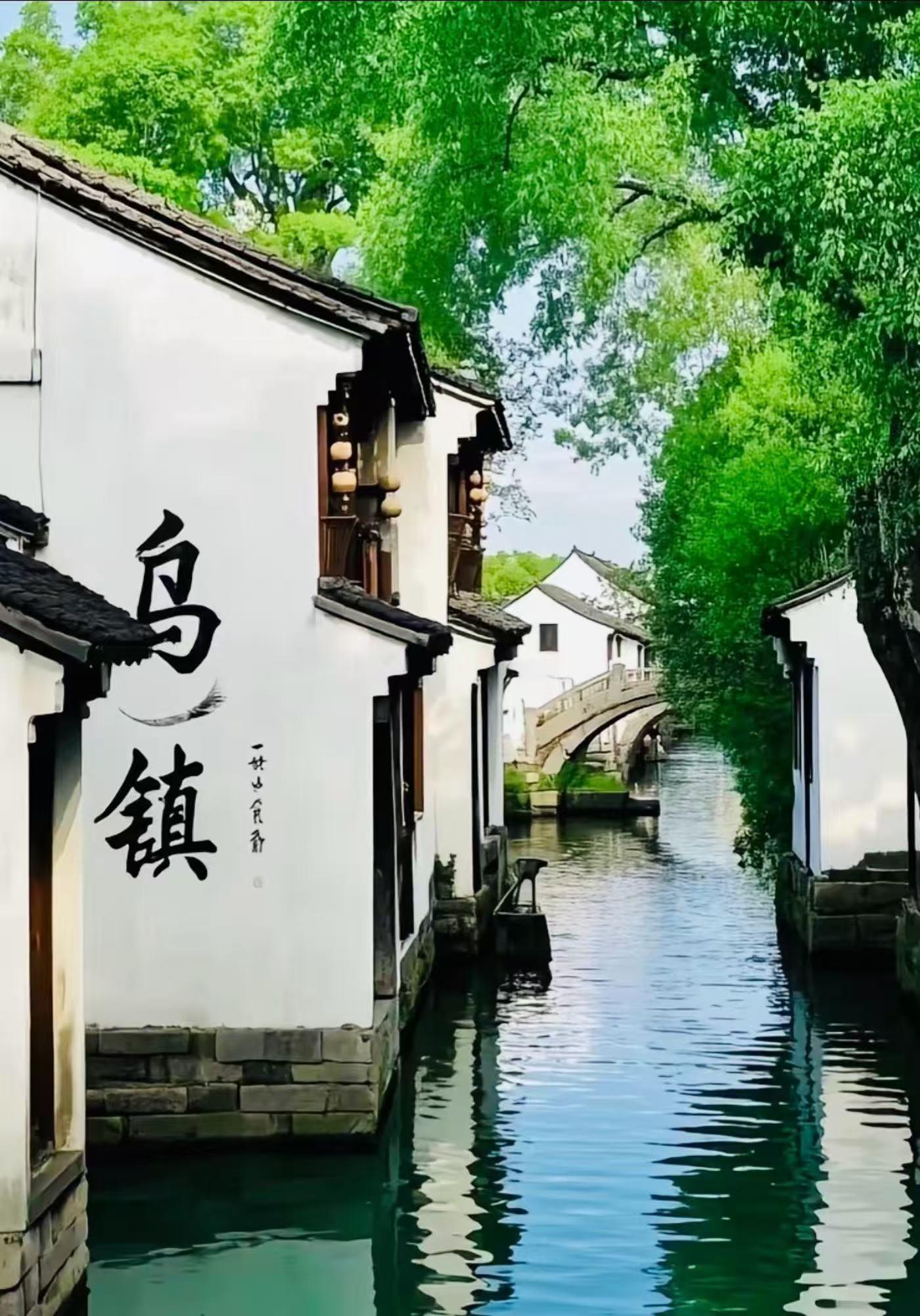 Shanghai-Wuzhen:2-Day Private Tour with Hotel Pickup 2
