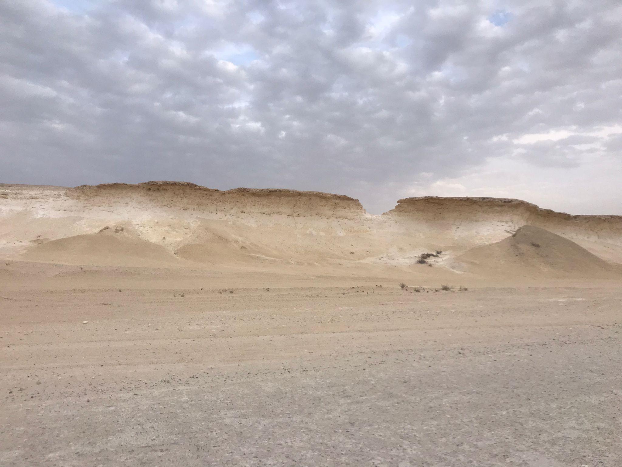 Doha Day Trip: West Qatar Day Trip to Zekreet & Dukhan Beach 2