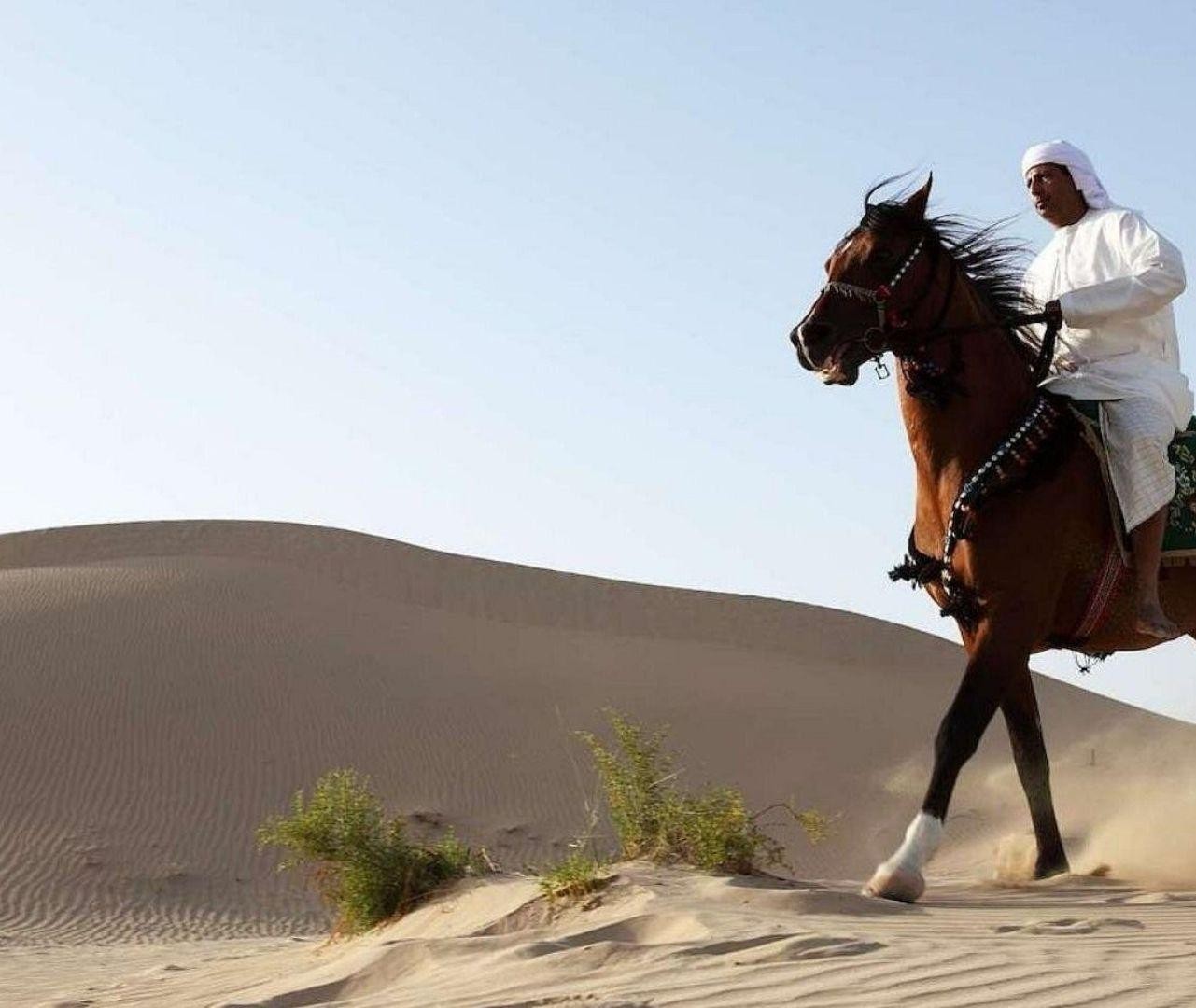 Doha: Arabian Horses & Desert Horizon Guided Tour 2