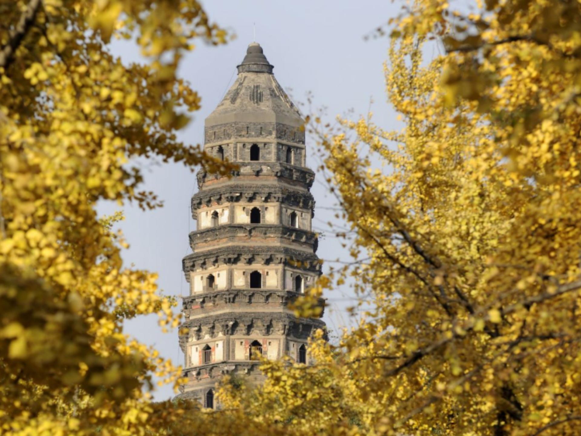 Suzhou Day Tour from Shanghai by High-Speed Train