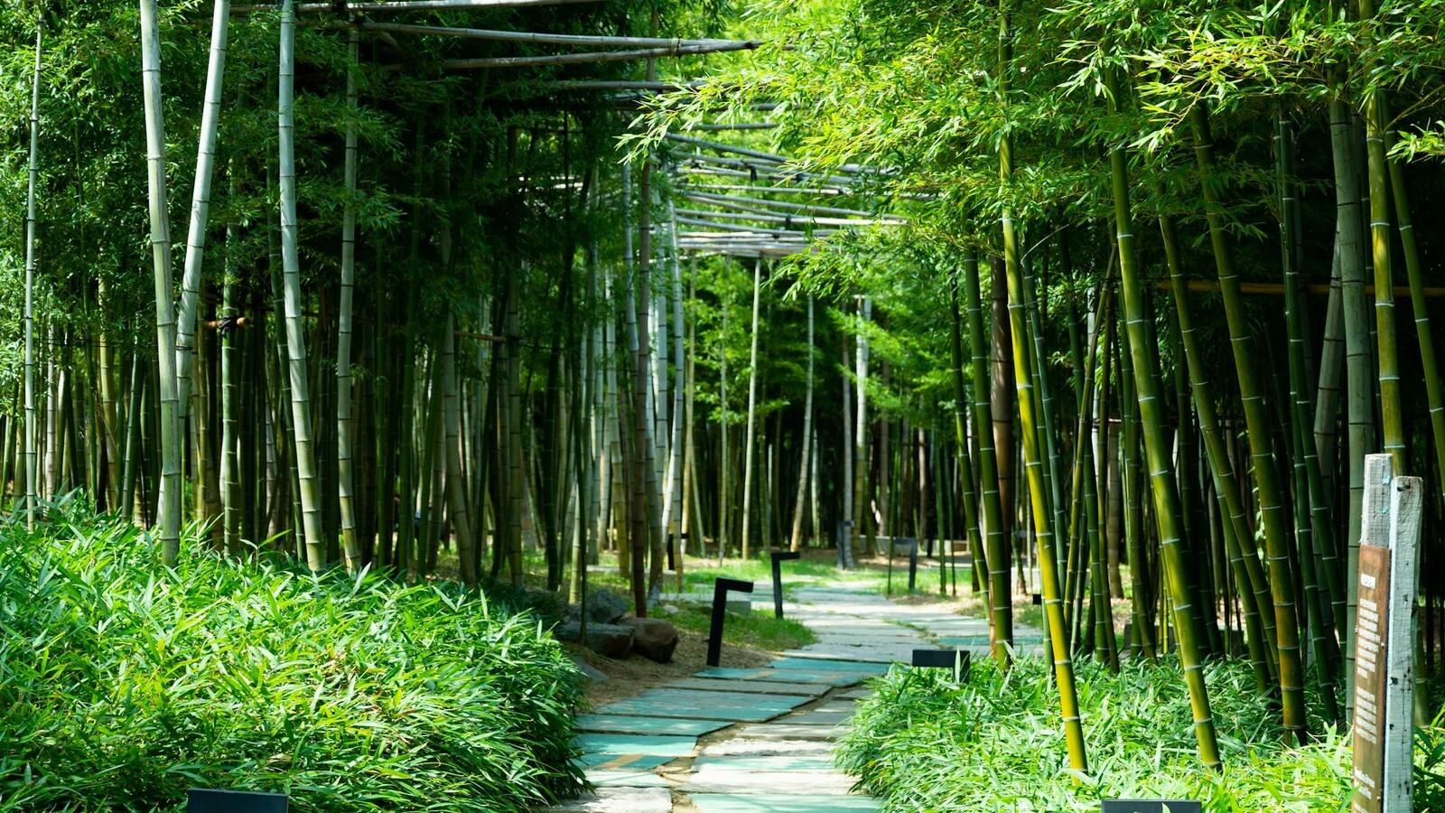 Shanghai: Shangqing Ancient Trail Private Day Trip 3