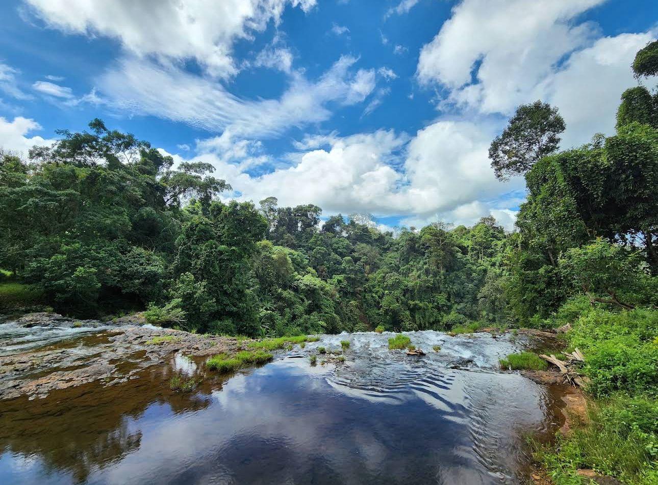 Pakse: Visit Bolaven Plateau+Tad Fane & Tad Yuang Waterfalls