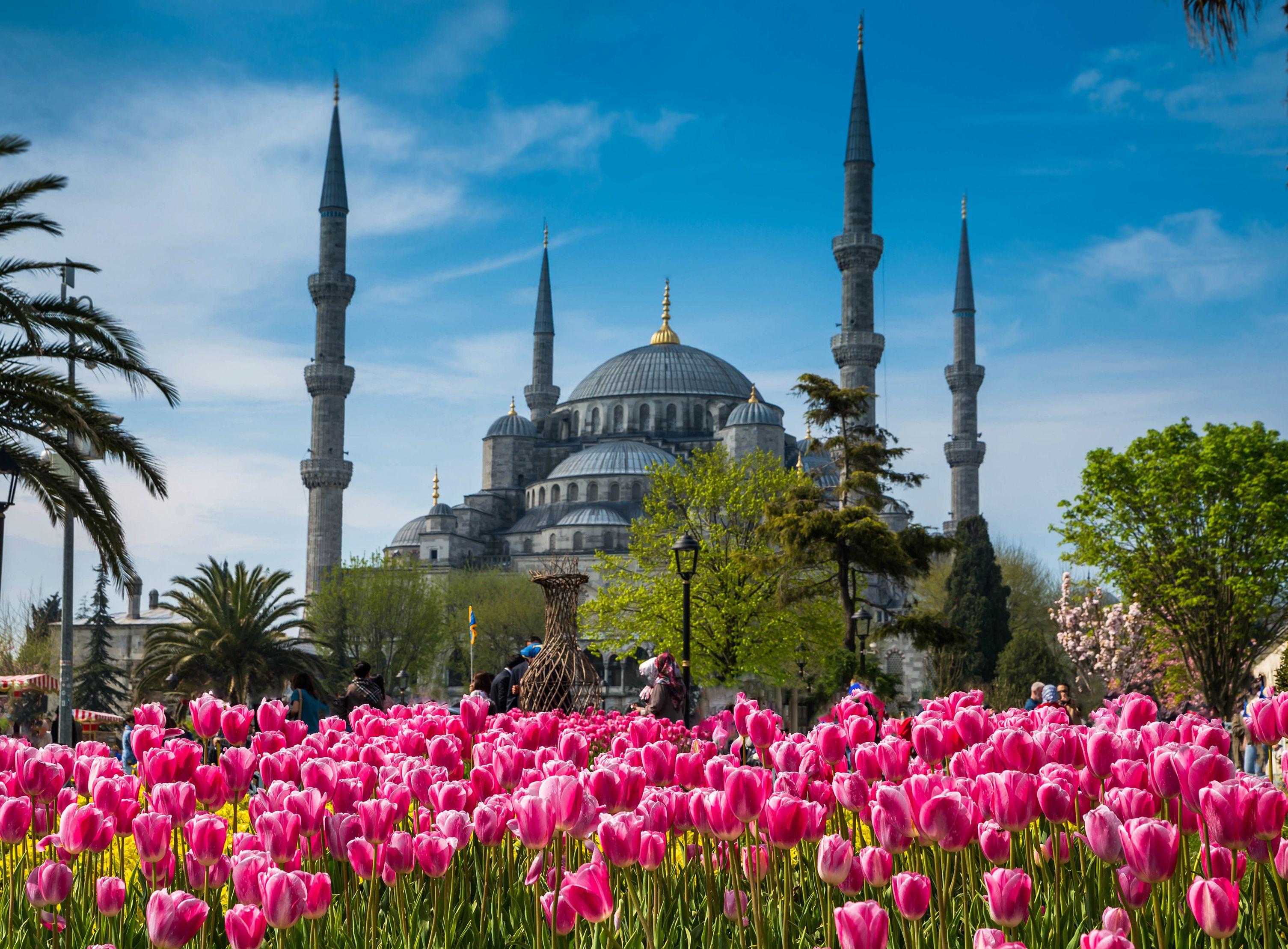 Istanbul: Topkapı Palace, Blue Mosque & Harem