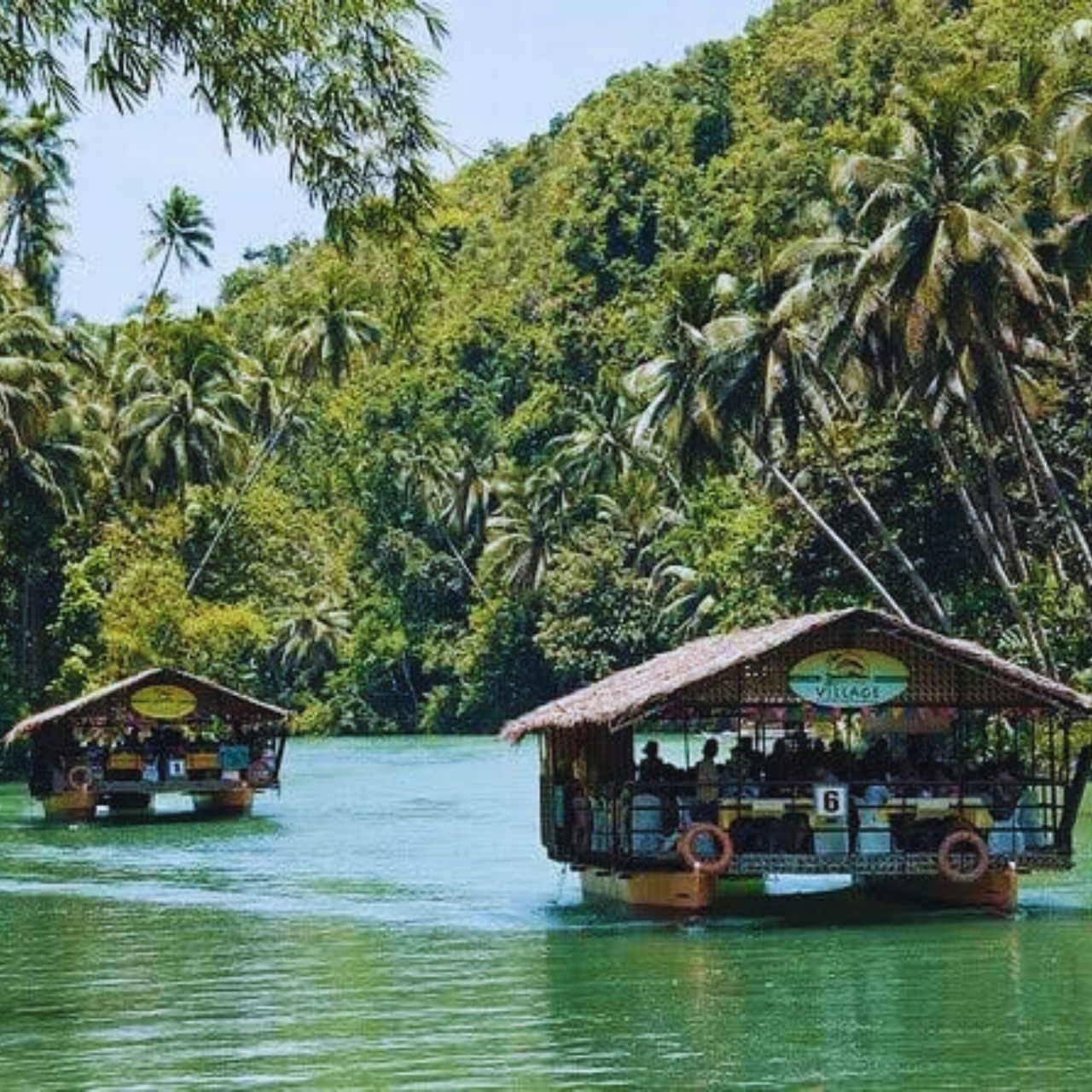 Bohol: Chocolate Hills Tour with Loboc River Cruise & Lunch 3