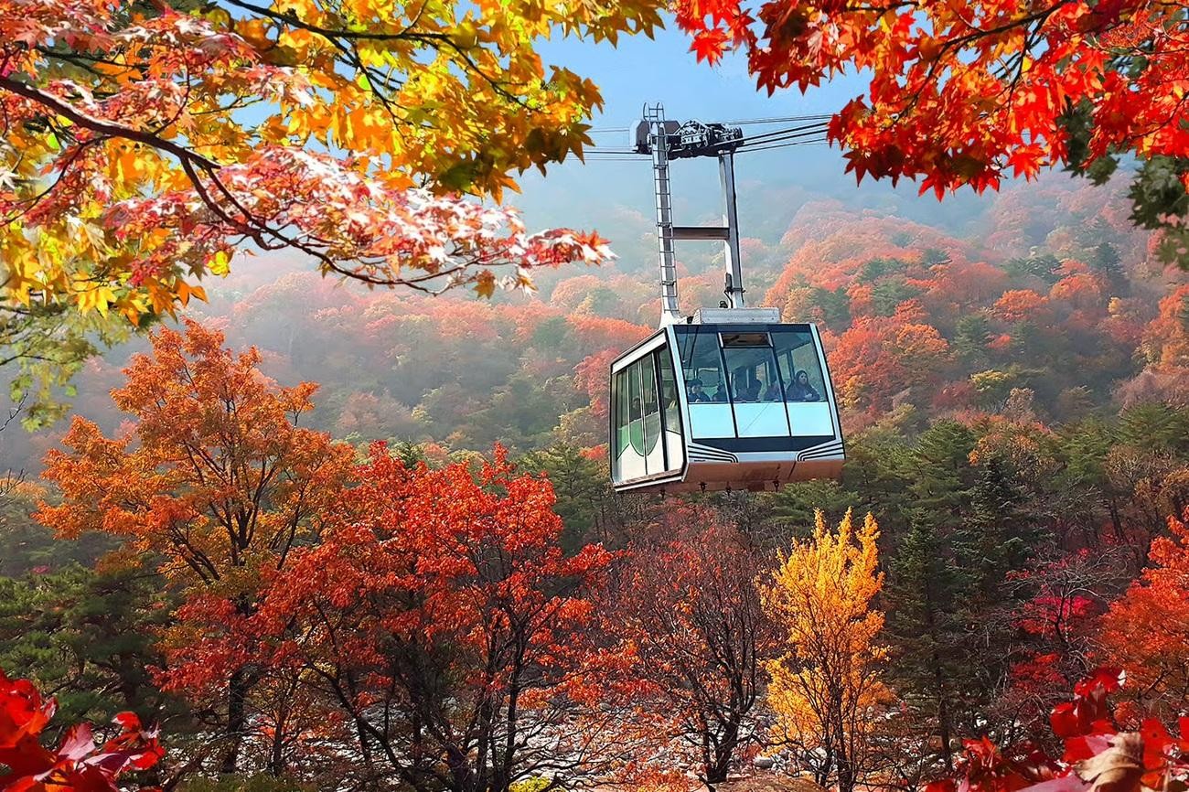 Seoul: Mt Seoraksan, Naksansa & Naksan Beach Private Tour