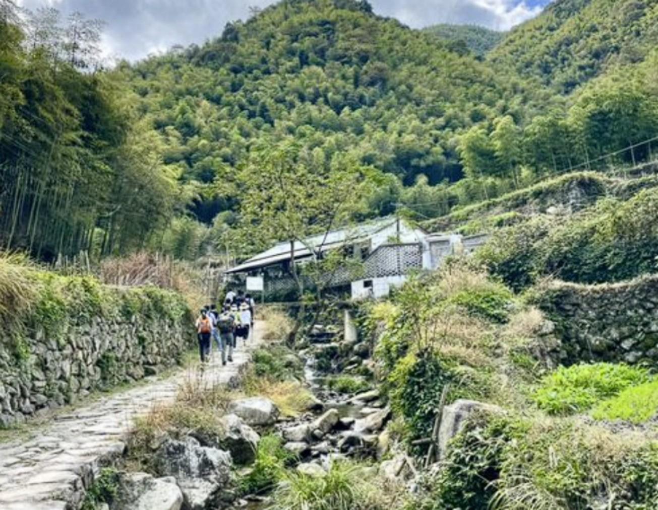Shanghai: Ancient Village & Bamboo Trail Private Day Trip 3