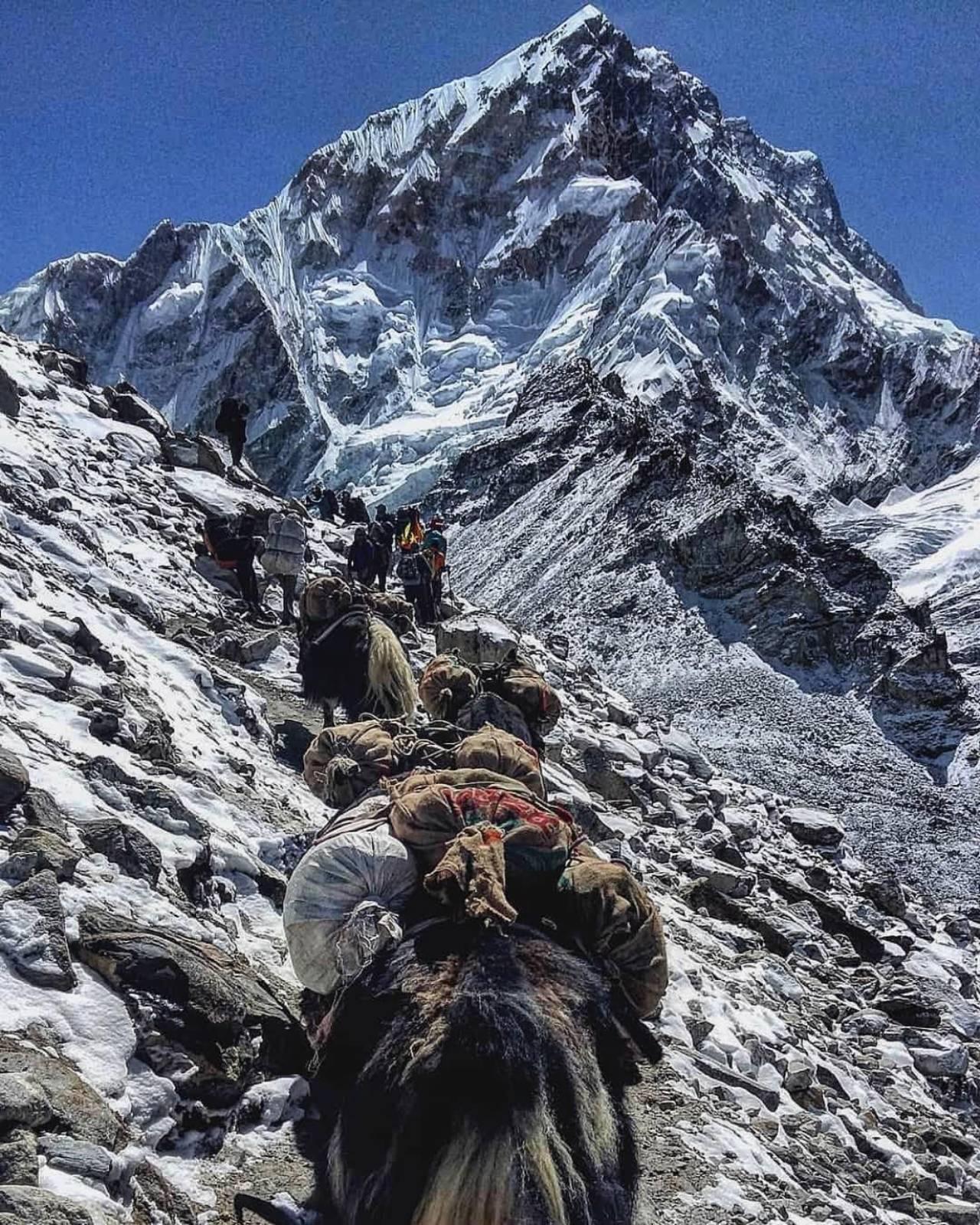 Kathmandu: Manaslu Circuit Trek 14-Day Guided Tour 2