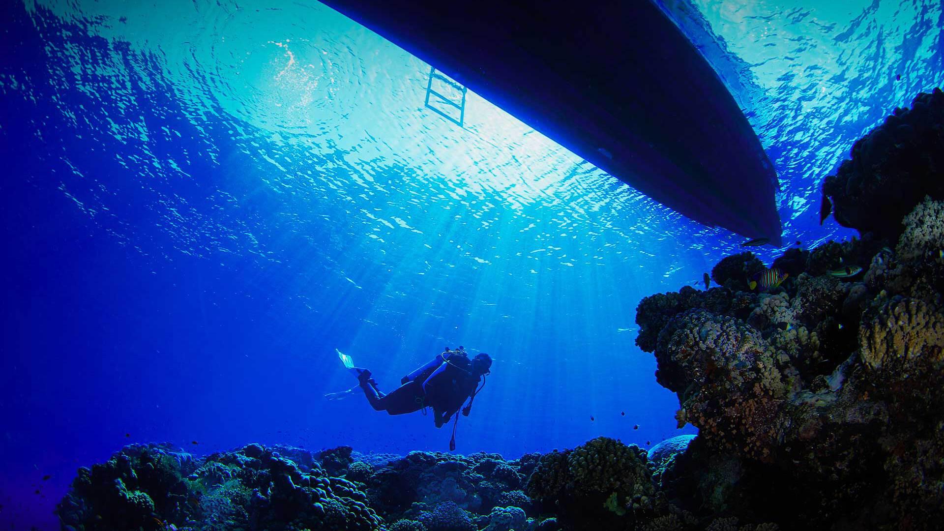 Jeddah's Oceanic Wonders: Dive into the Red Sea 2