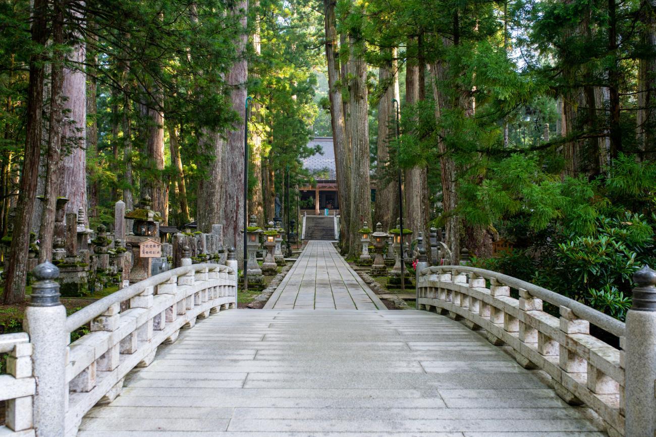 Nachi Falls/Mount Koya and Wakayama Private Day Tour 3