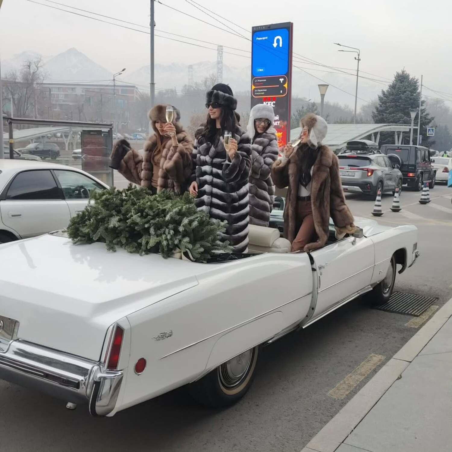Almaty: Private Retro Cruise in a 1973 Cadillac 2