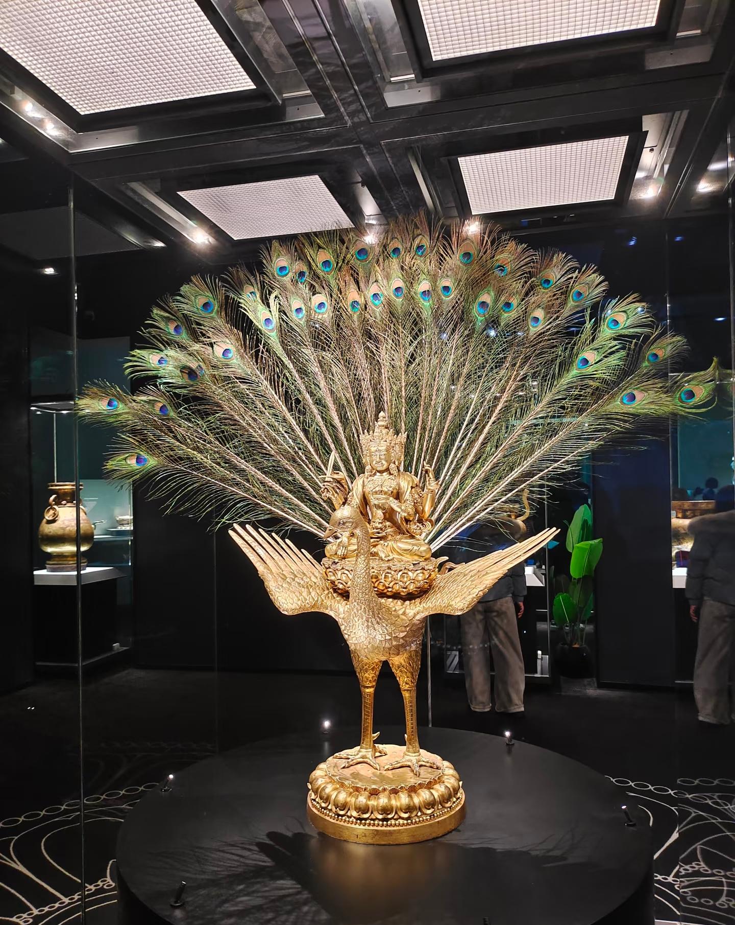 Shanghai: Science & Tech Museum & Museum East Pass Day Tour 2