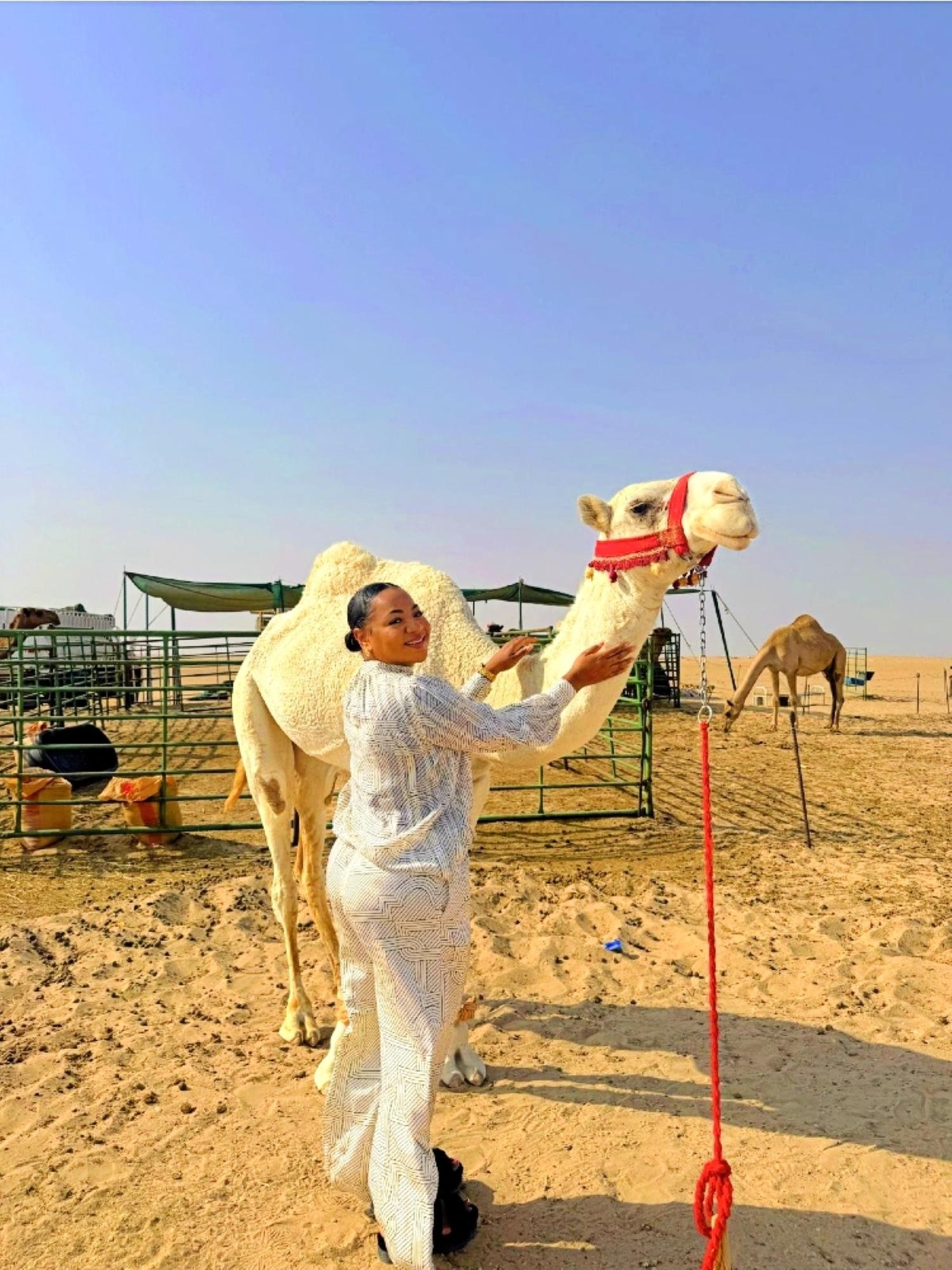Full Day licensed Tours in Kuwait City & Desert Pick&DropOff