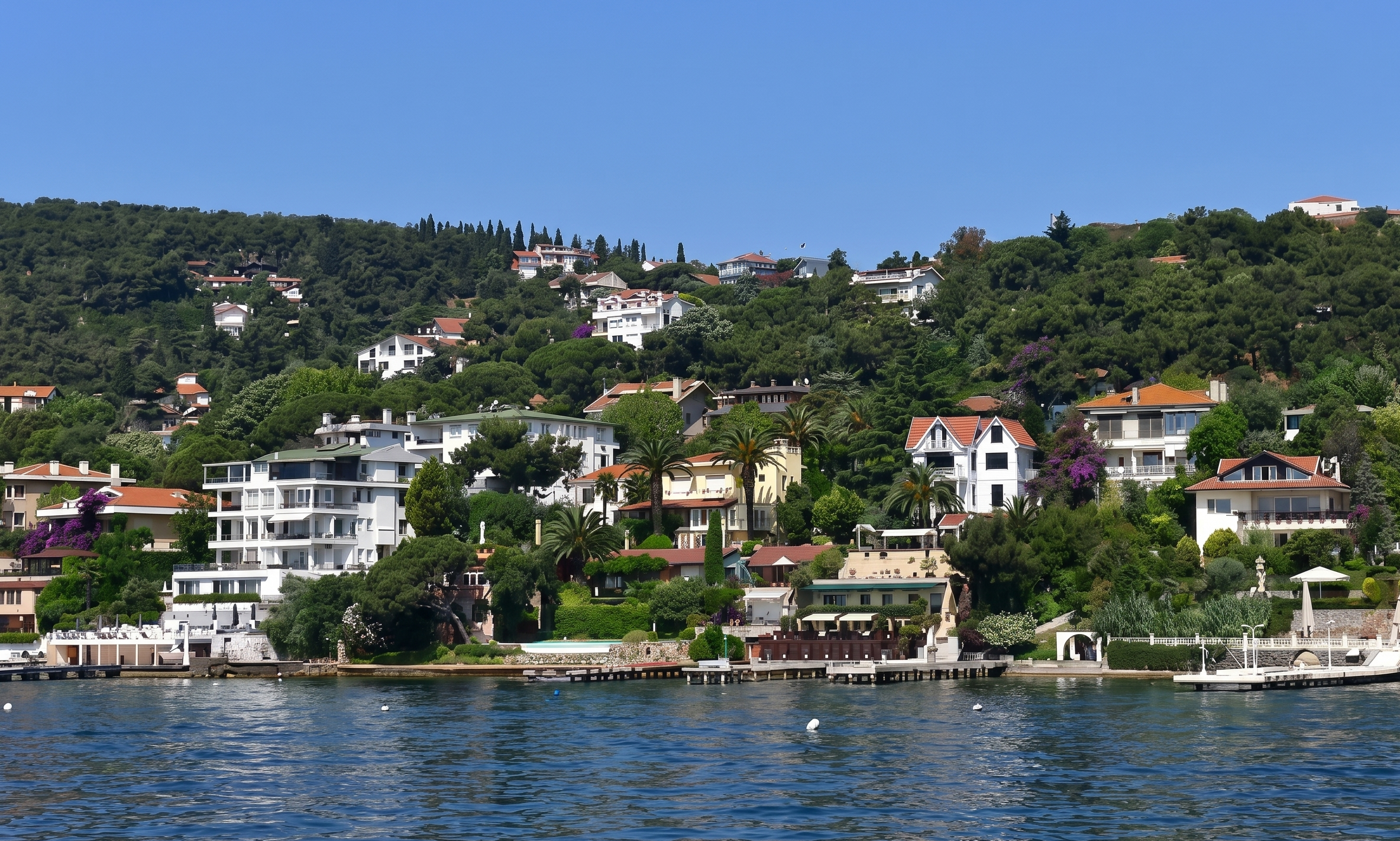 Istanbul: Princes' Islands Boat Tour with Lunch & Free Time 3