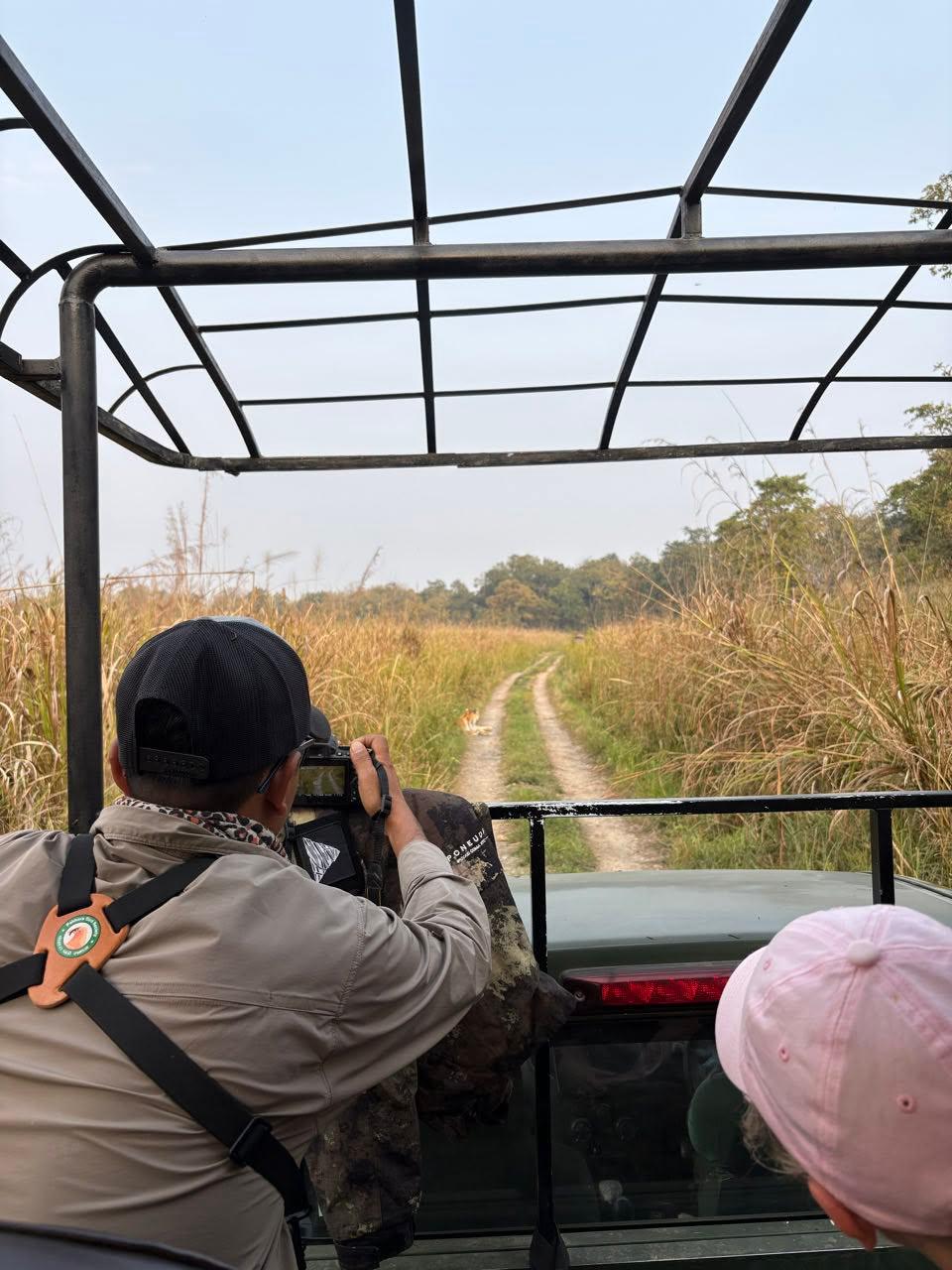 Nepal: 16-Day Tarai Wildlife Tour in Search of Bengal Tigers 2